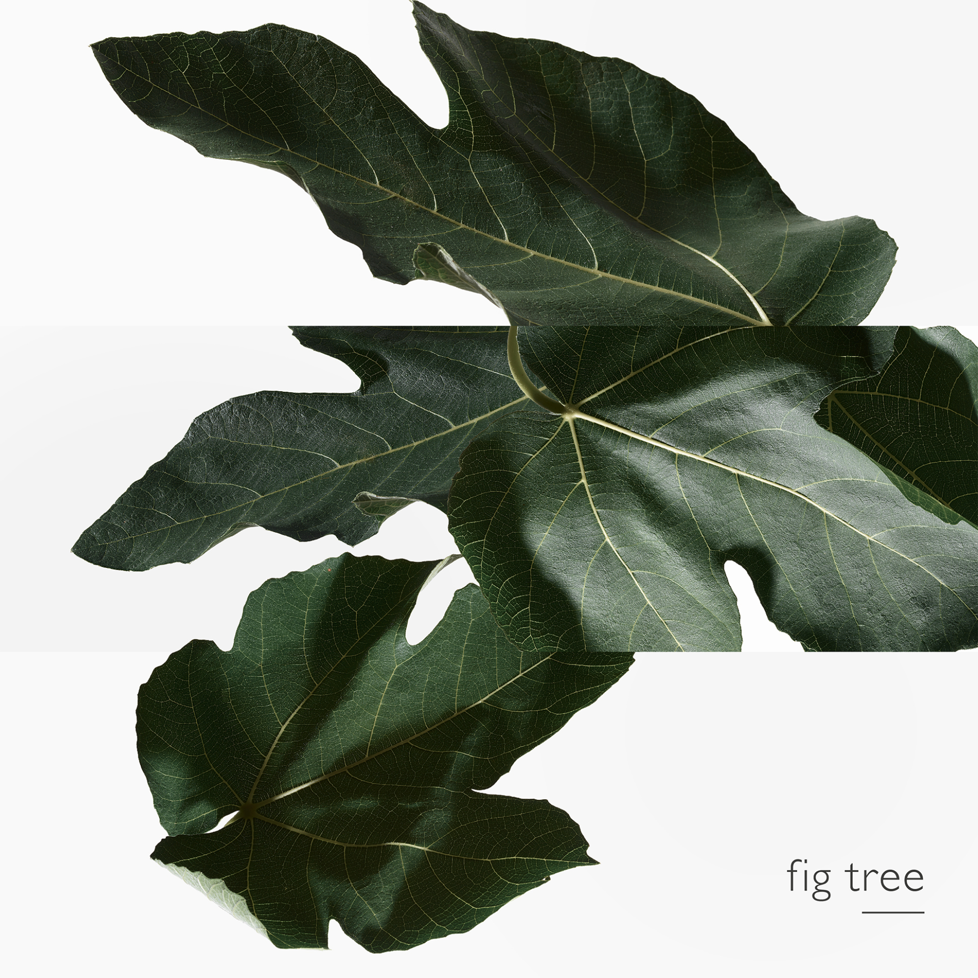 Hermès Un Jardin en Méditerranée Eau de Toilette - 712650/1 φωτογραφία