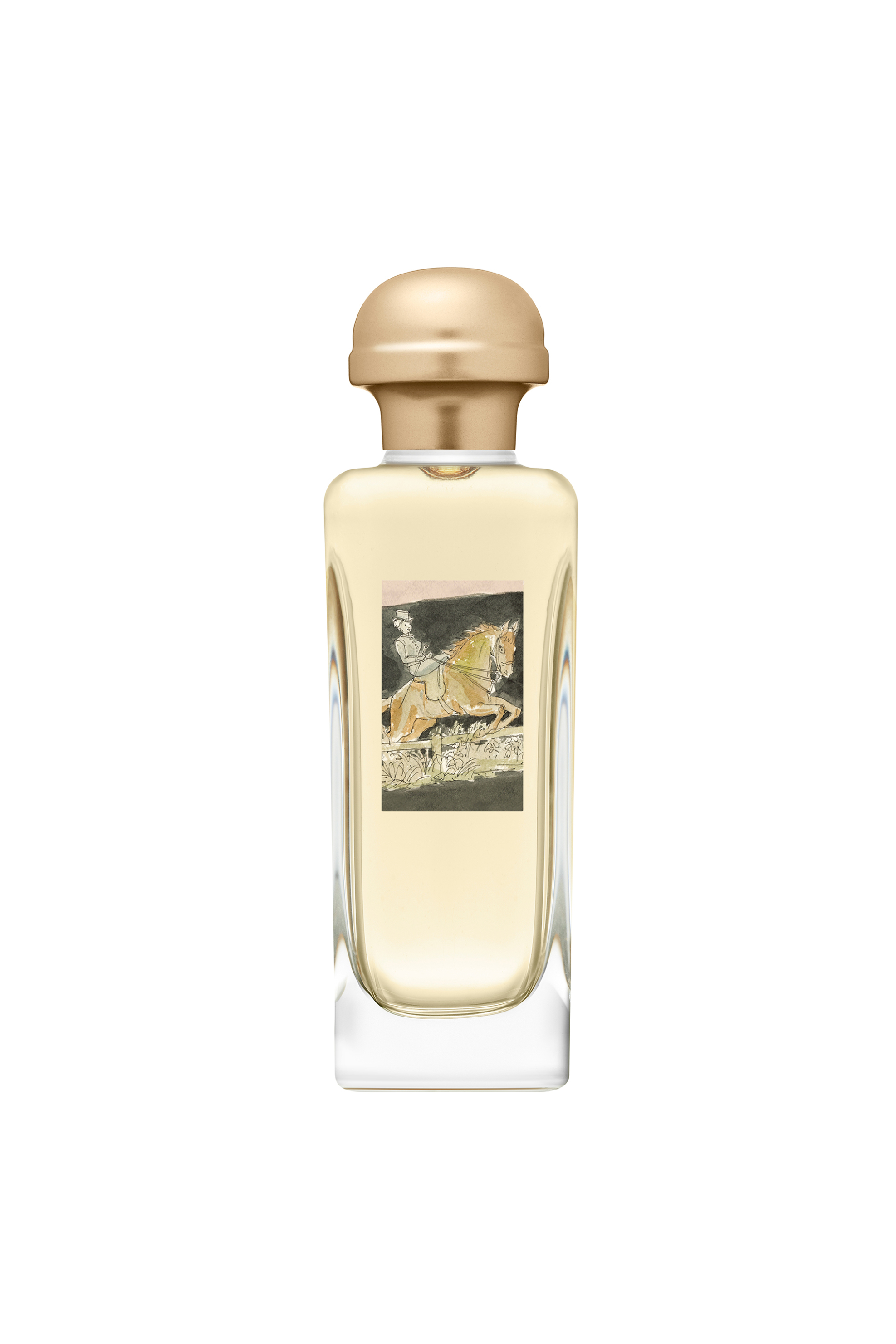 Hermès Rose Amazone Eau de Toilette 100 ml - 34504 φωτογραφία