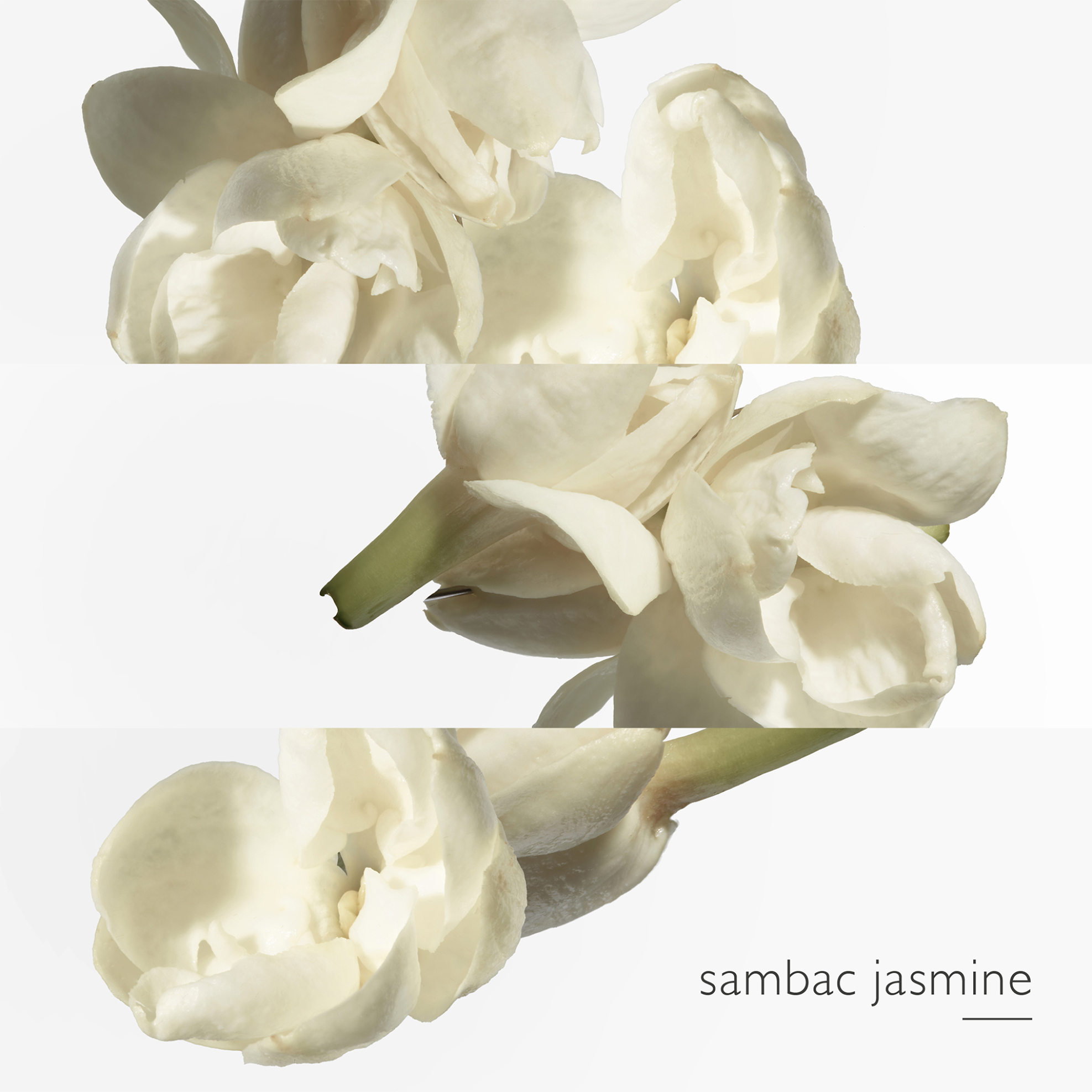 Hermès Le Jardin de Monsieur Li Eau de Toilette - 32121 φωτογραφία