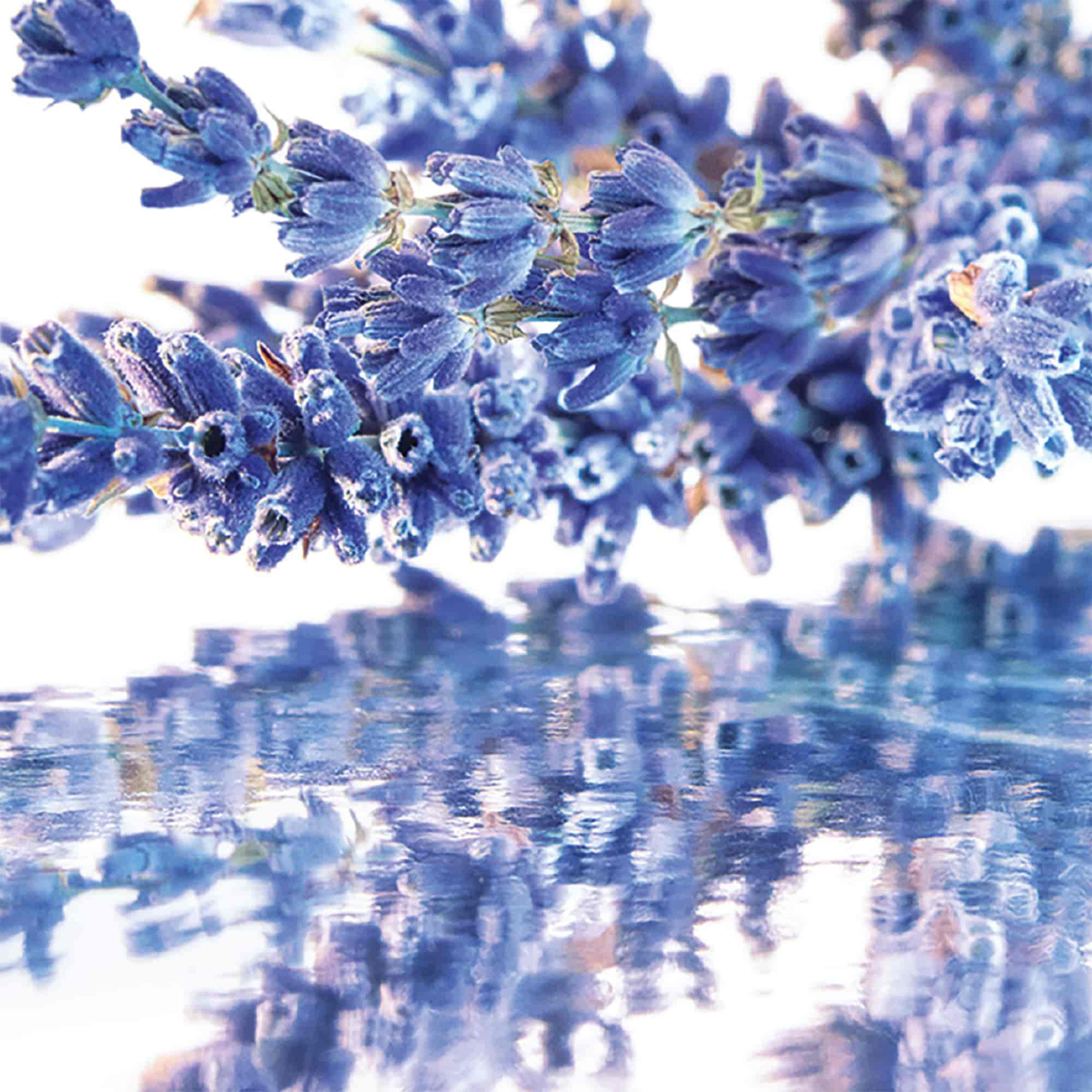 Guerlain Mon Guerlain Eau de Parfum - G013140 φωτογραφία