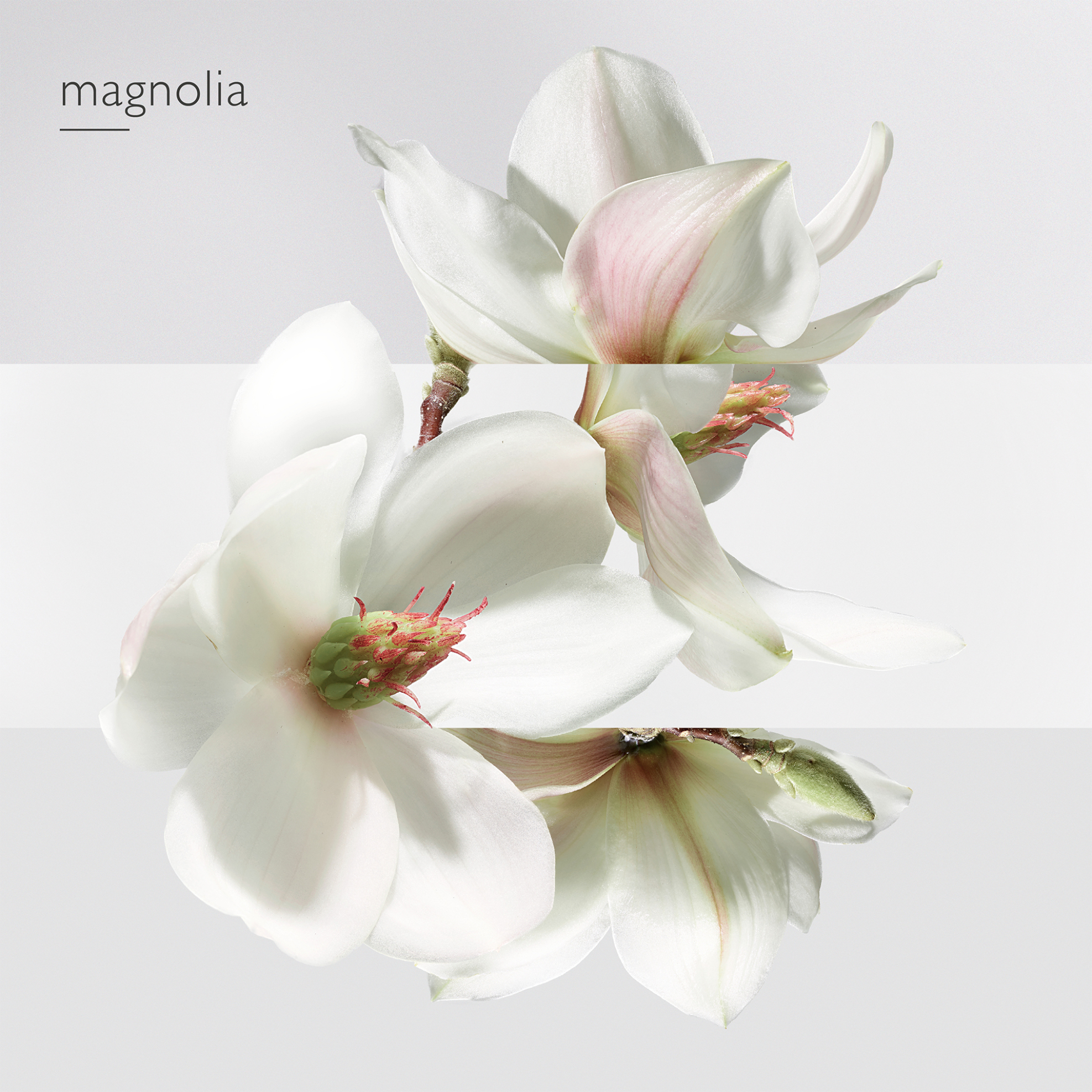 Hermès Un Jardin sur la Lagune Eau de Toilette - 100079V0 φωτογραφία