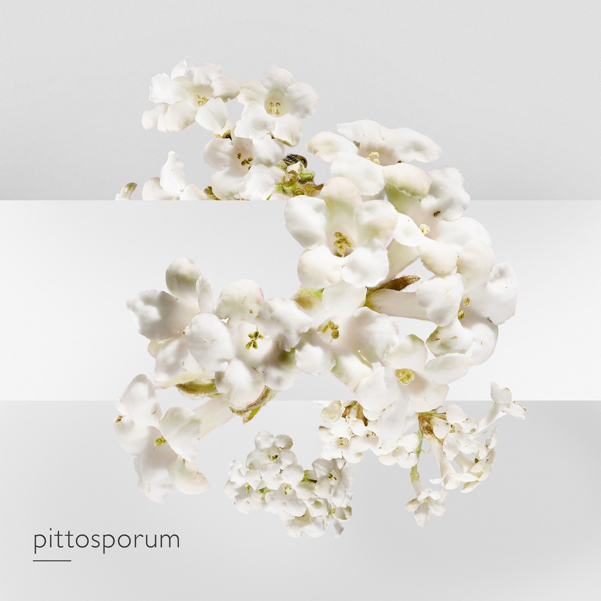 Hermès Un Jardin sur la Lagune Eau de Toilette - 100081V0 φωτογραφία