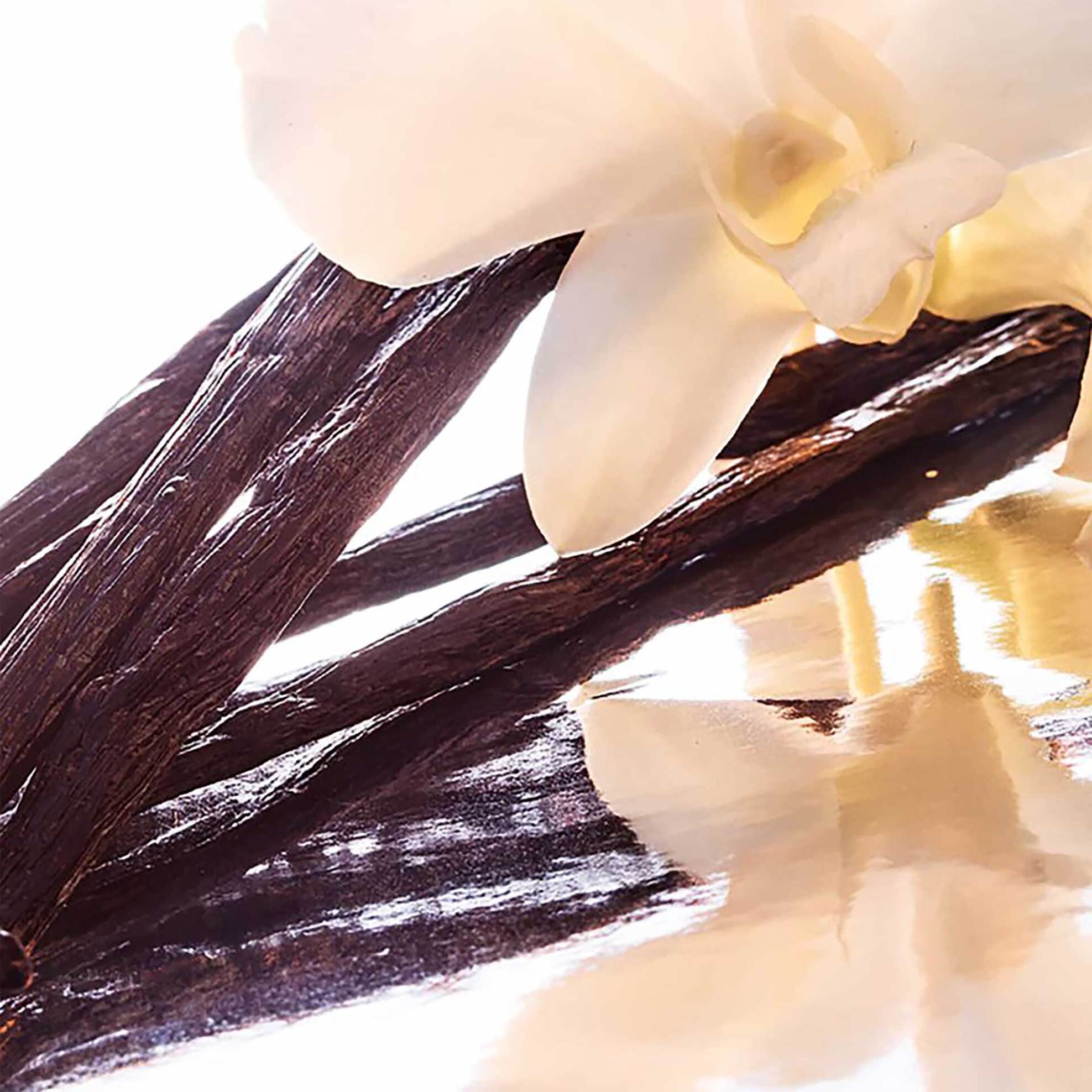 Guerlain Mon Guerlain Eau de Parfum Intense - G013781 φωτογραφία