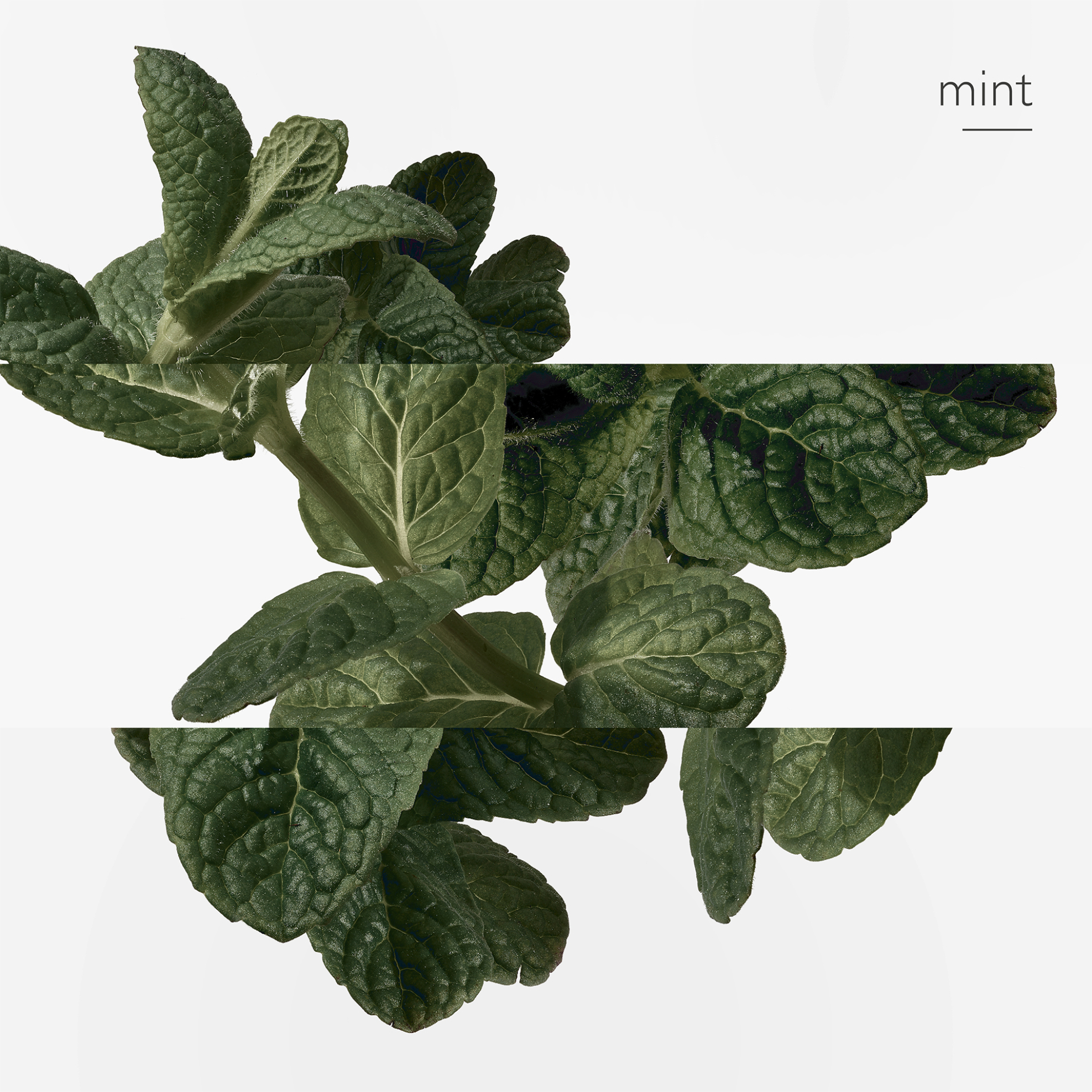 Hermès Eau d'Orange Verte Eau de Cologne - 101916V0 φωτογραφία