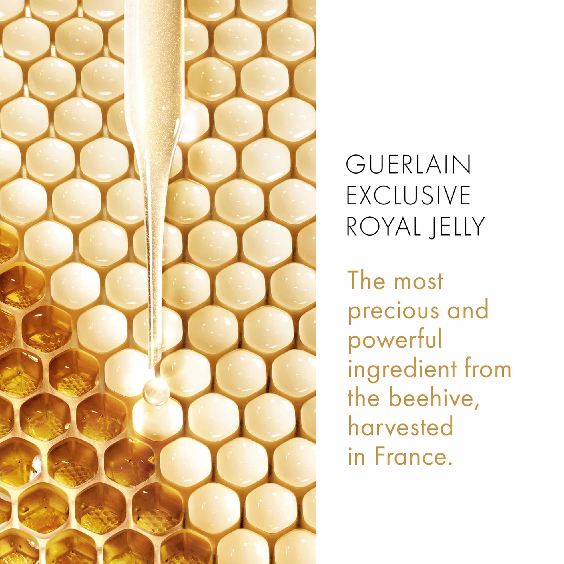 Guerlain Abeille Royale Fortifying Lotion with Royal Jelly - G061555 φωτογραφία
