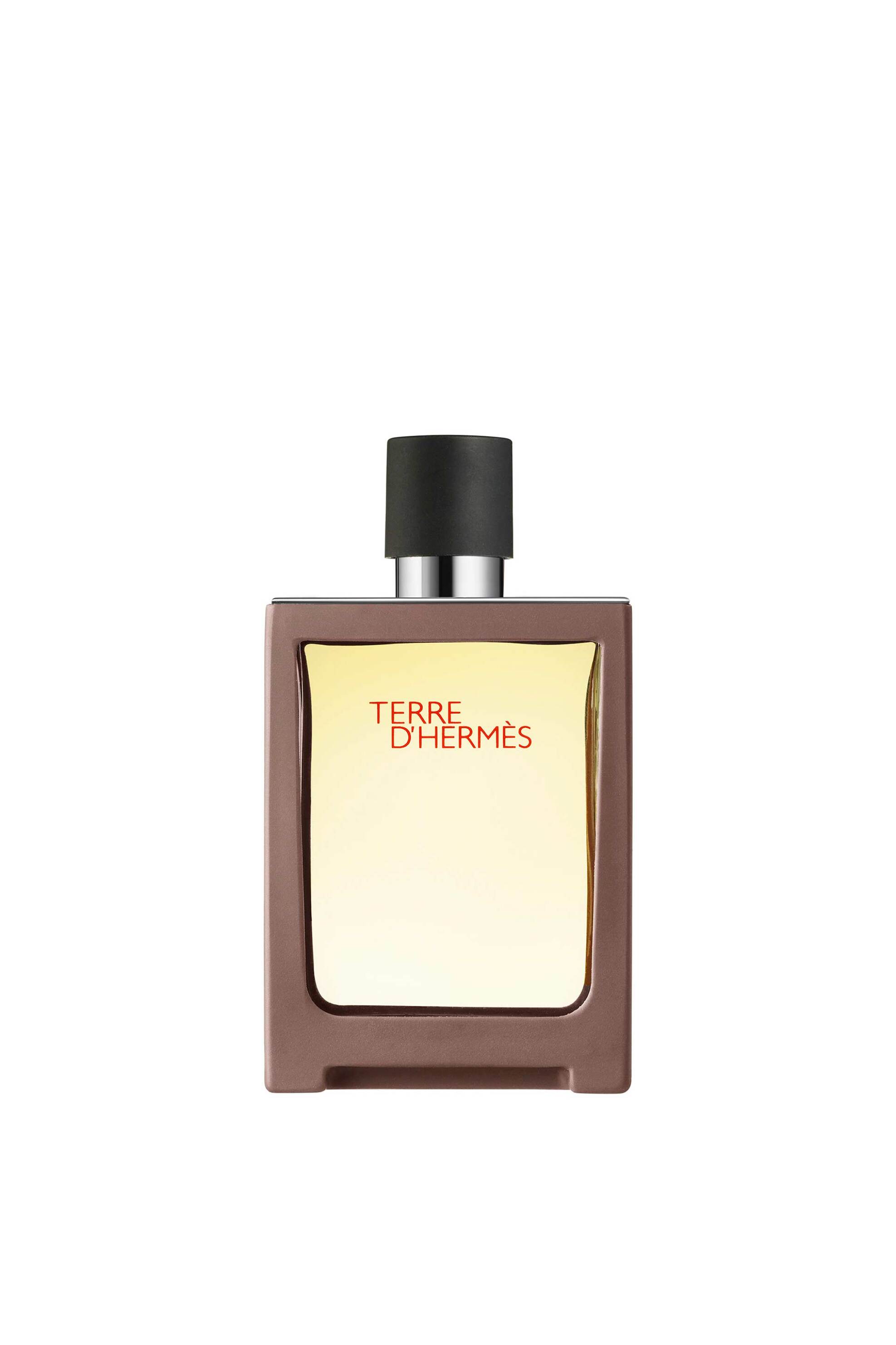 Hermès Terre d'Hermès Eau de Toilette Βαποριζατέρ Ταξιδιού 30 ml - 107200V0
