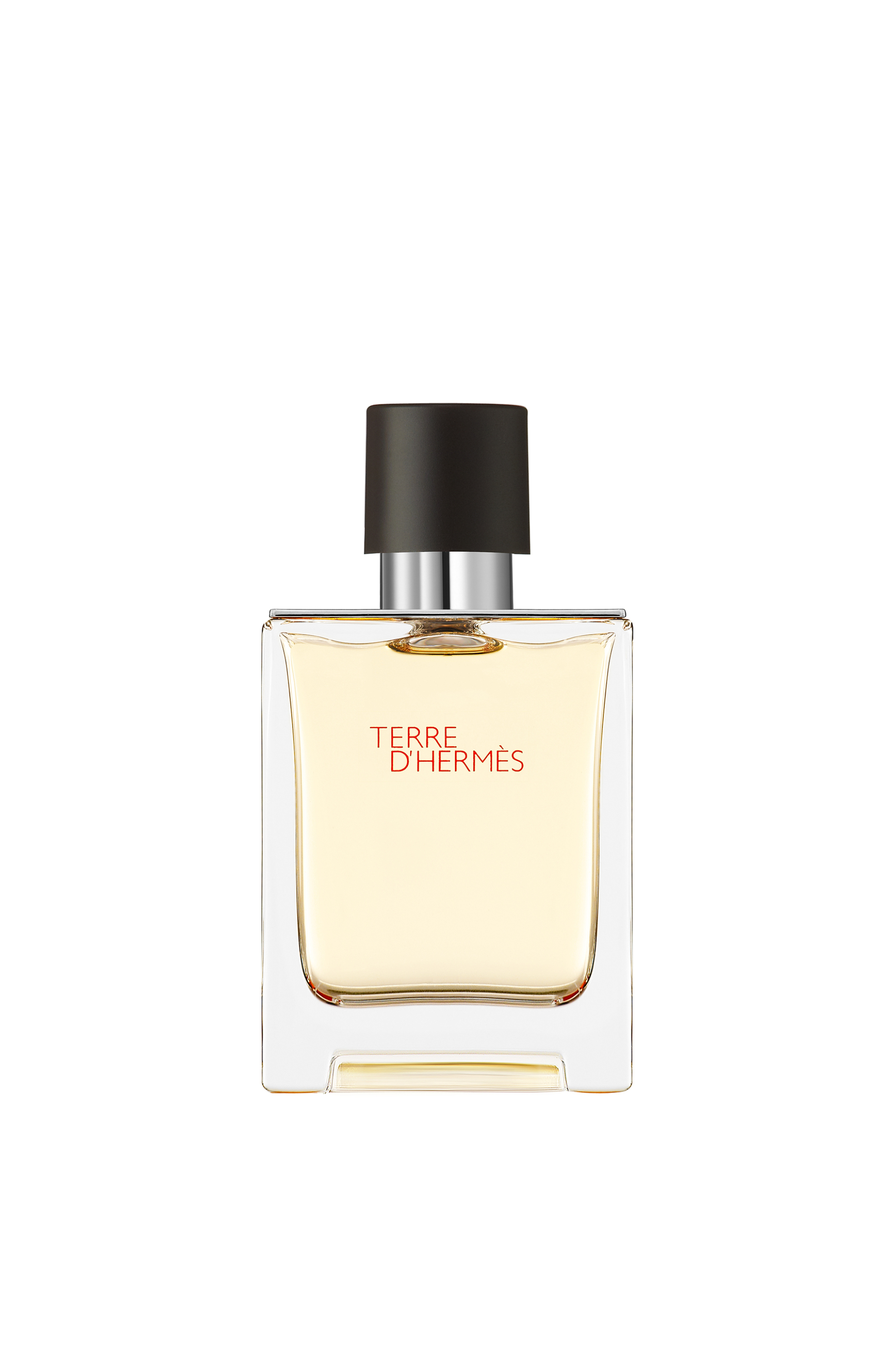 HERMÈS Hermès Terre d'Hermès Eau de Toilette - 107189V0