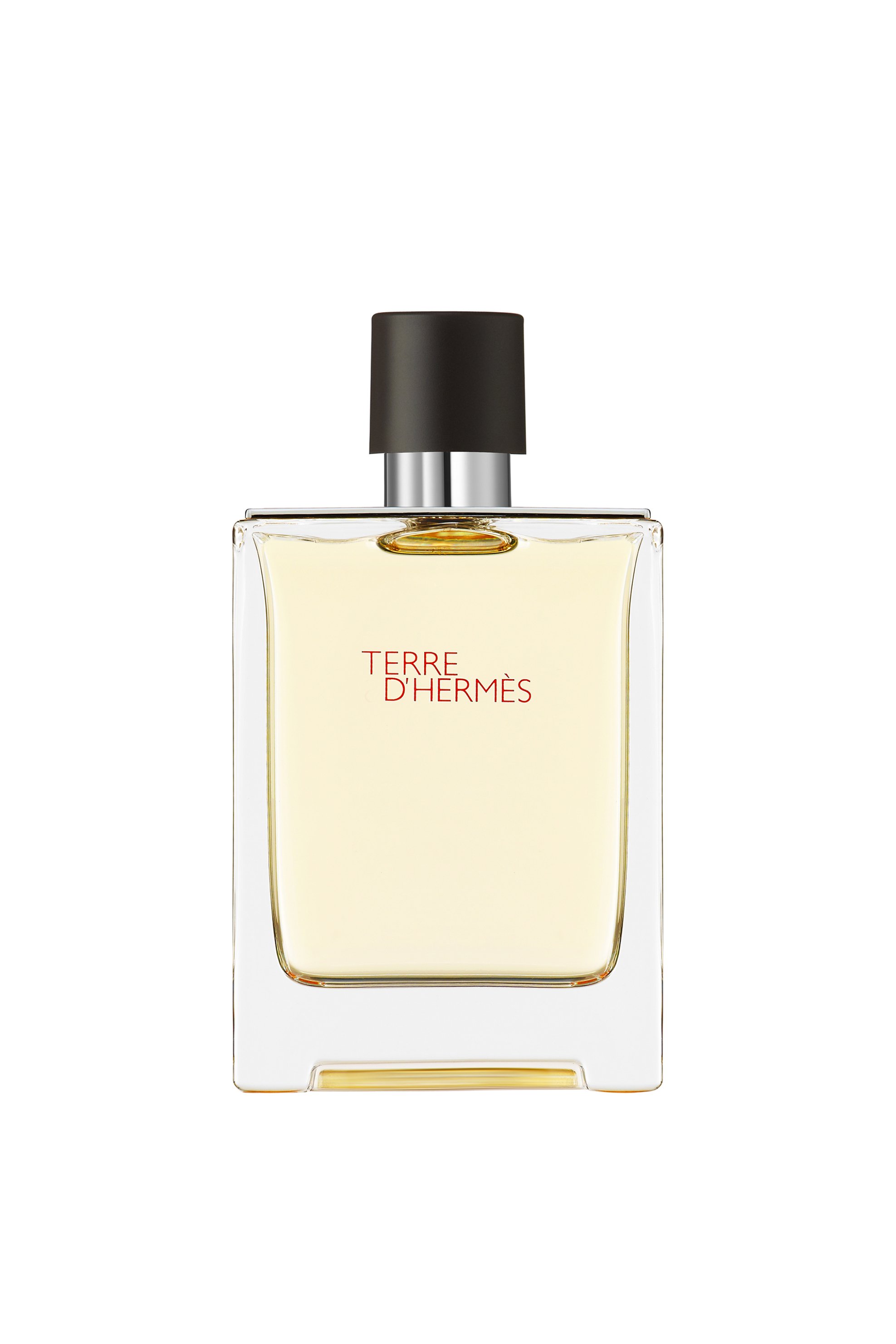 HERMÈS Hermès Terre d'Hermès Eau de Toilette - 107188V0