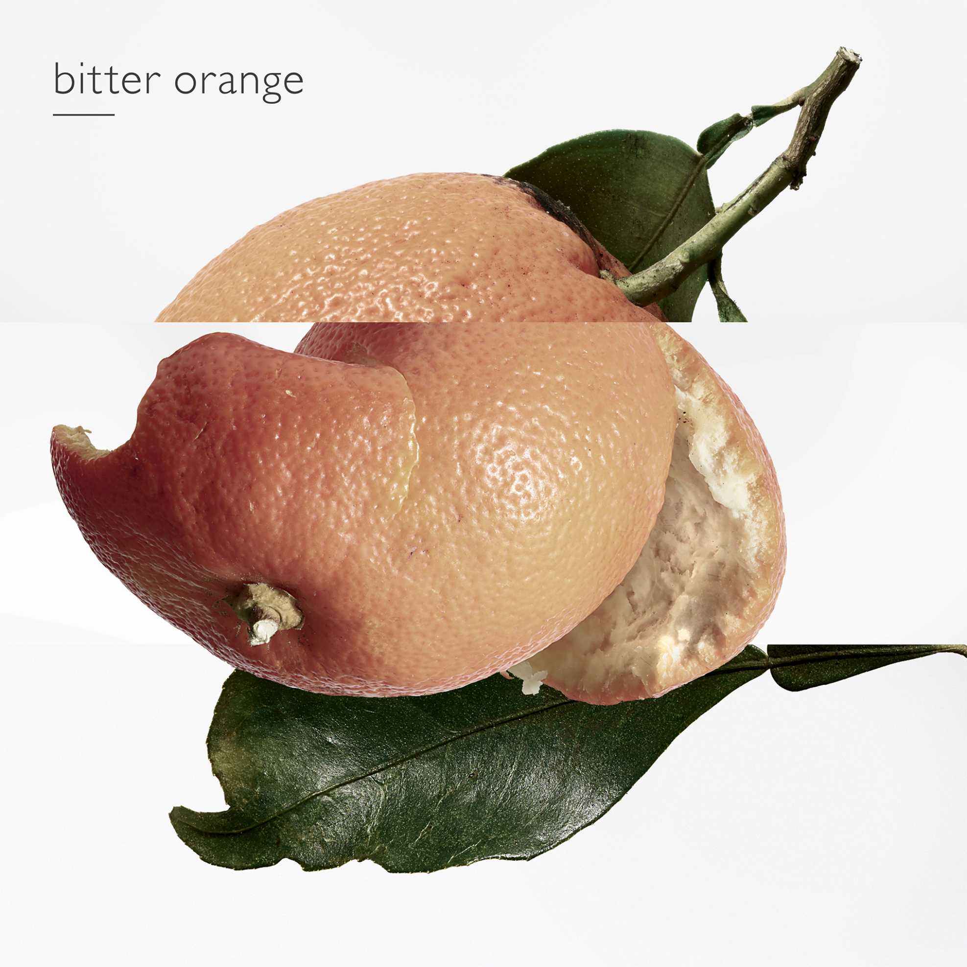 Hermès Terre d'Hermès Eau de Toilette Bαποριζατέρ Tαξιδιού 121 gr, 30 ml & Aνταλλακτικό 125 ml - 107747V0 φωτογραφία