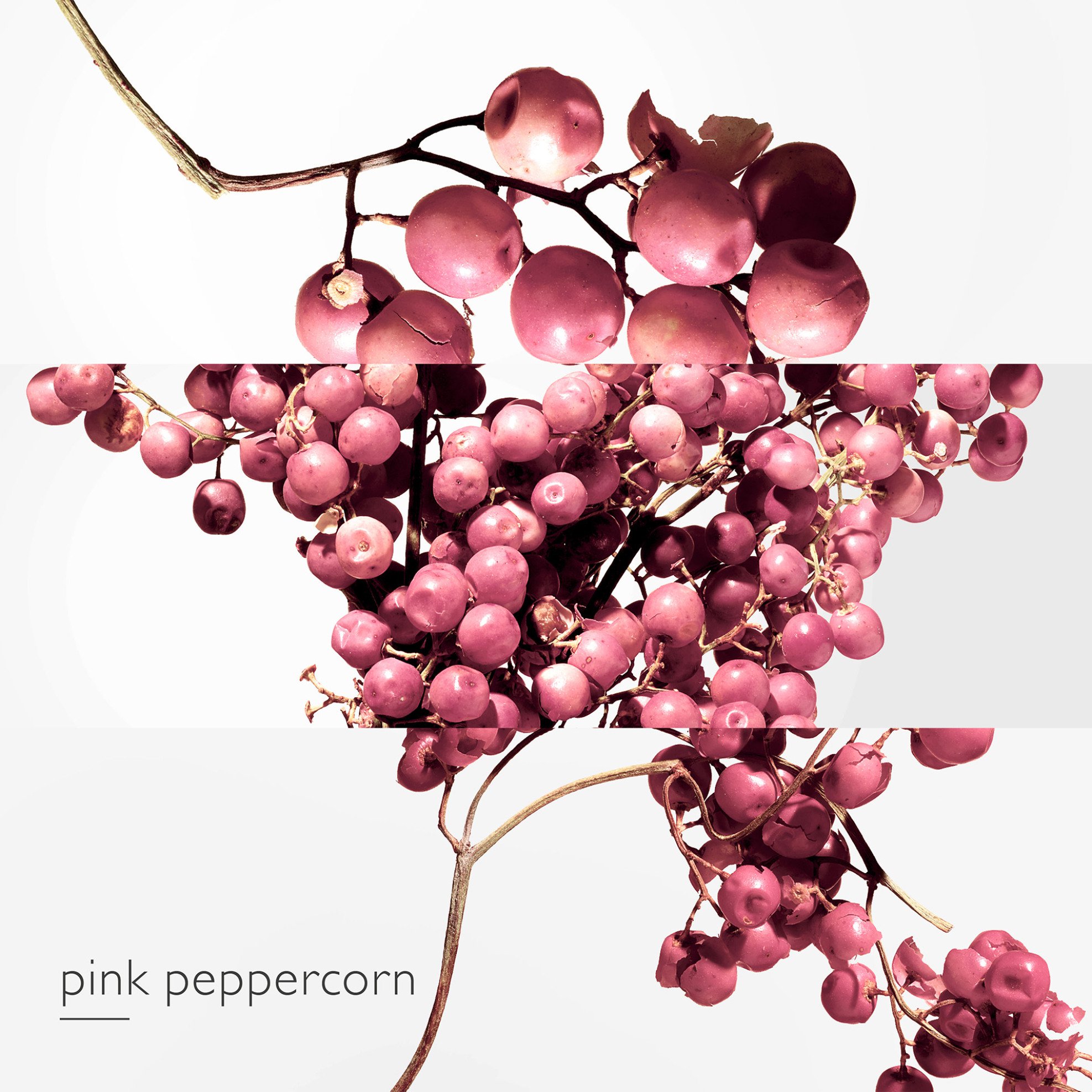 Hermès Twilly d’Hermès Eau Poivrée Eau de Parfum - 107166V0 φωτογραφία