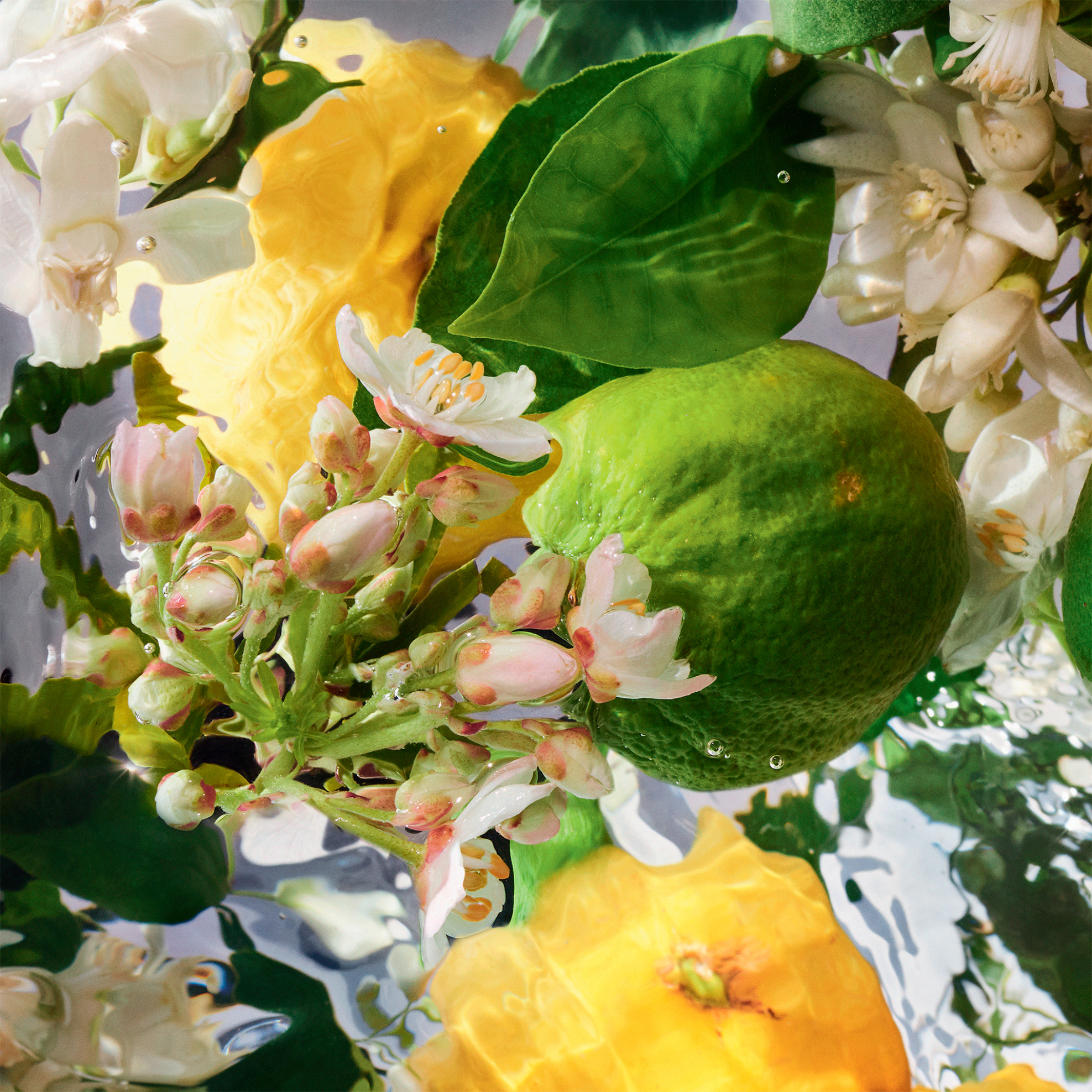 Guerlain Aqua Allegoria Bergamote Calabria - Eau De Toilette 75 ml - G014384 φωτογραφία