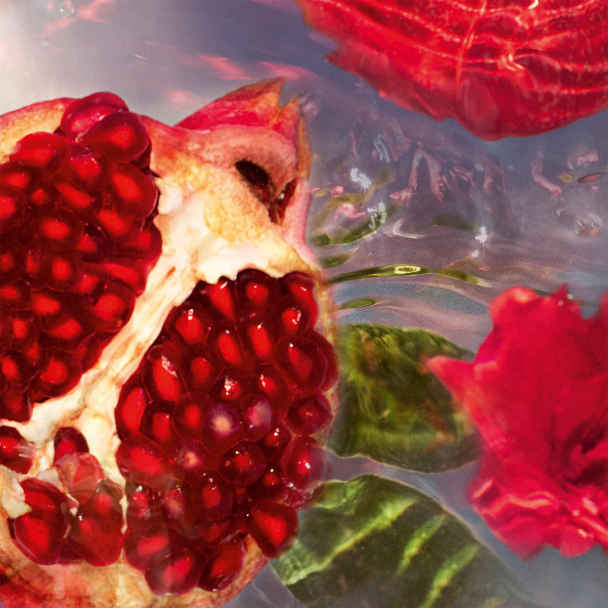 Guerlain Aqua Allegoria Granada Salvia - Eau De Toilette 75 ml - G014390 φωτογραφία