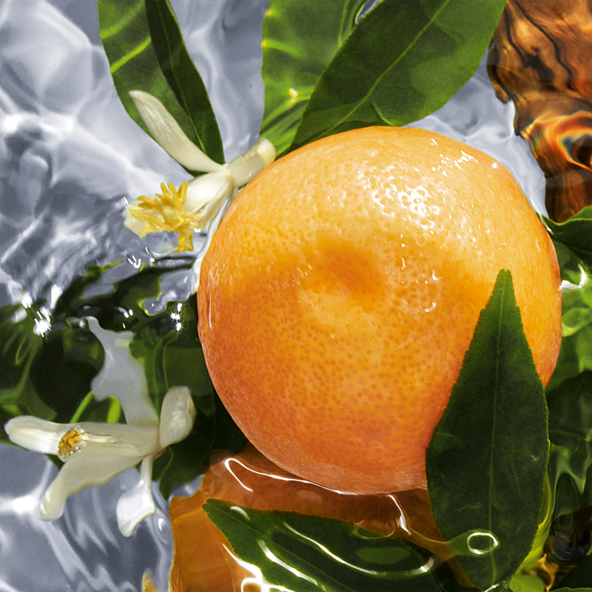 Guerlain Aqua Allegoria Pamplelune - Eau De Toilette 75 ml - G014400 φωτογραφία