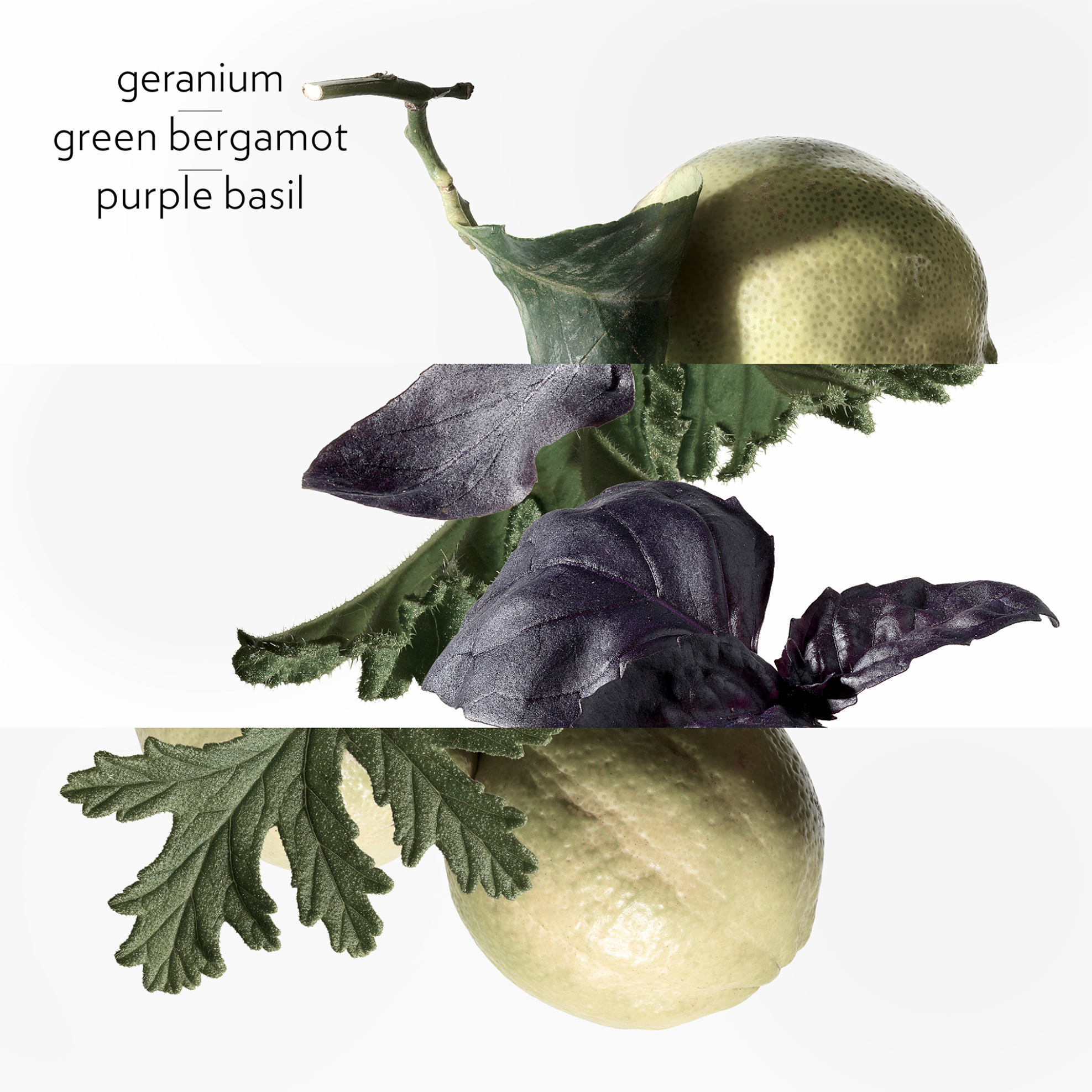 Hermès Eau de Basilic Pourpre Eau de Cologne - 105079V0 φωτογραφία