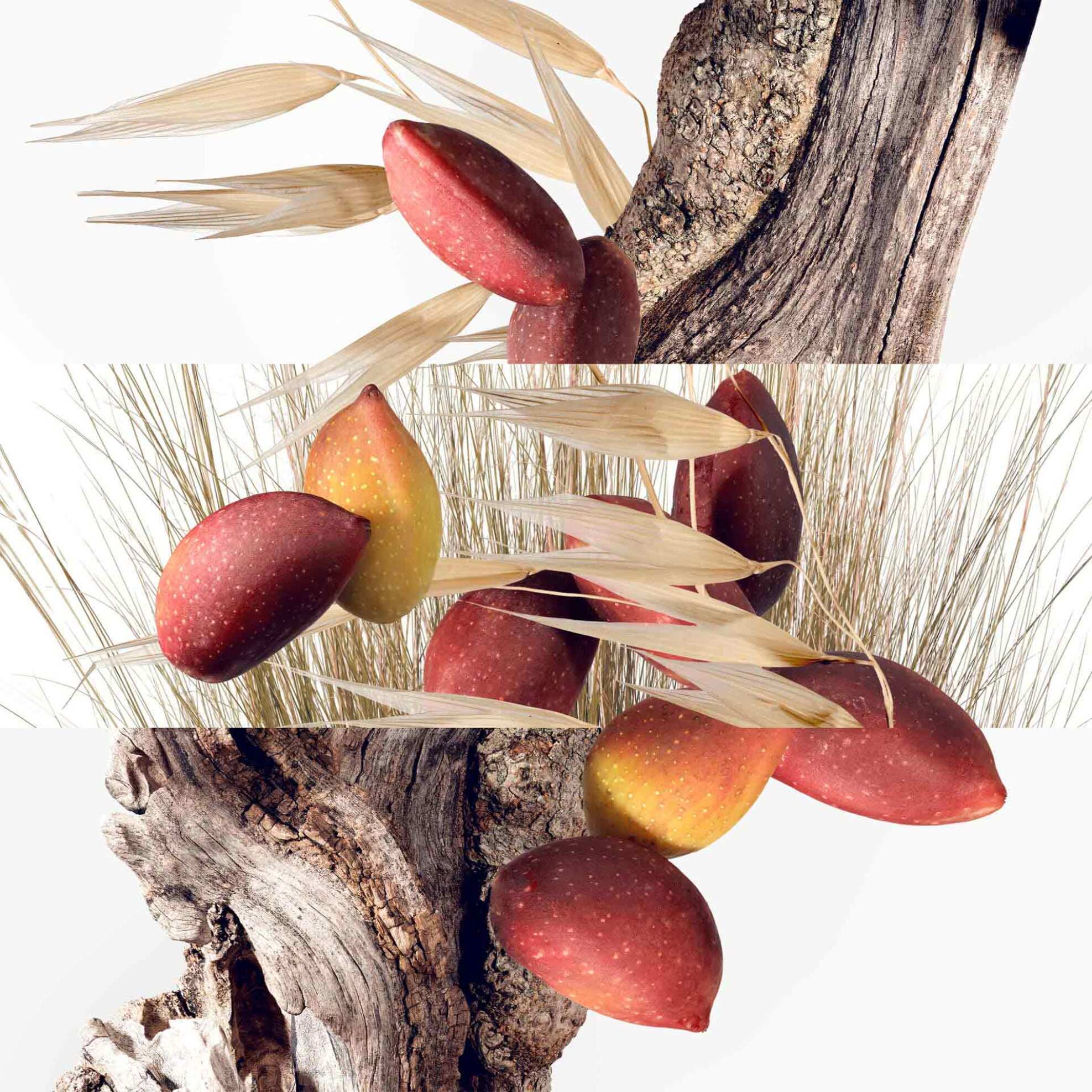 Hermès Un Jardin à Cythère Eau de Toilette - 109289V0 φωτογραφία