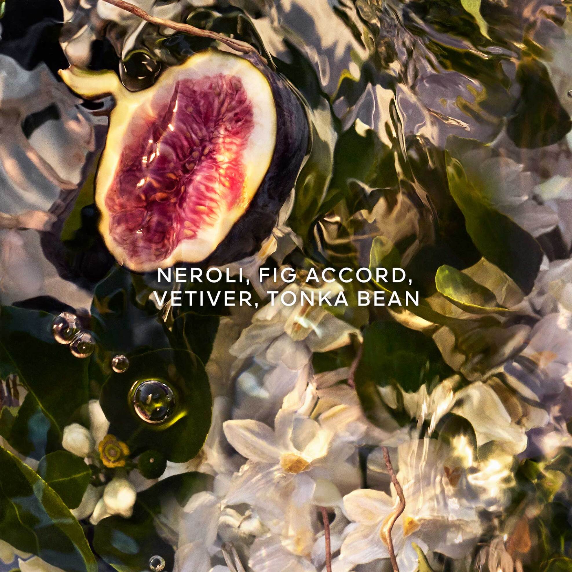 Guerlain Aqua Allegoria Forte Nerolia Vetiver Eau de Parfum - G014685 φωτογραφία