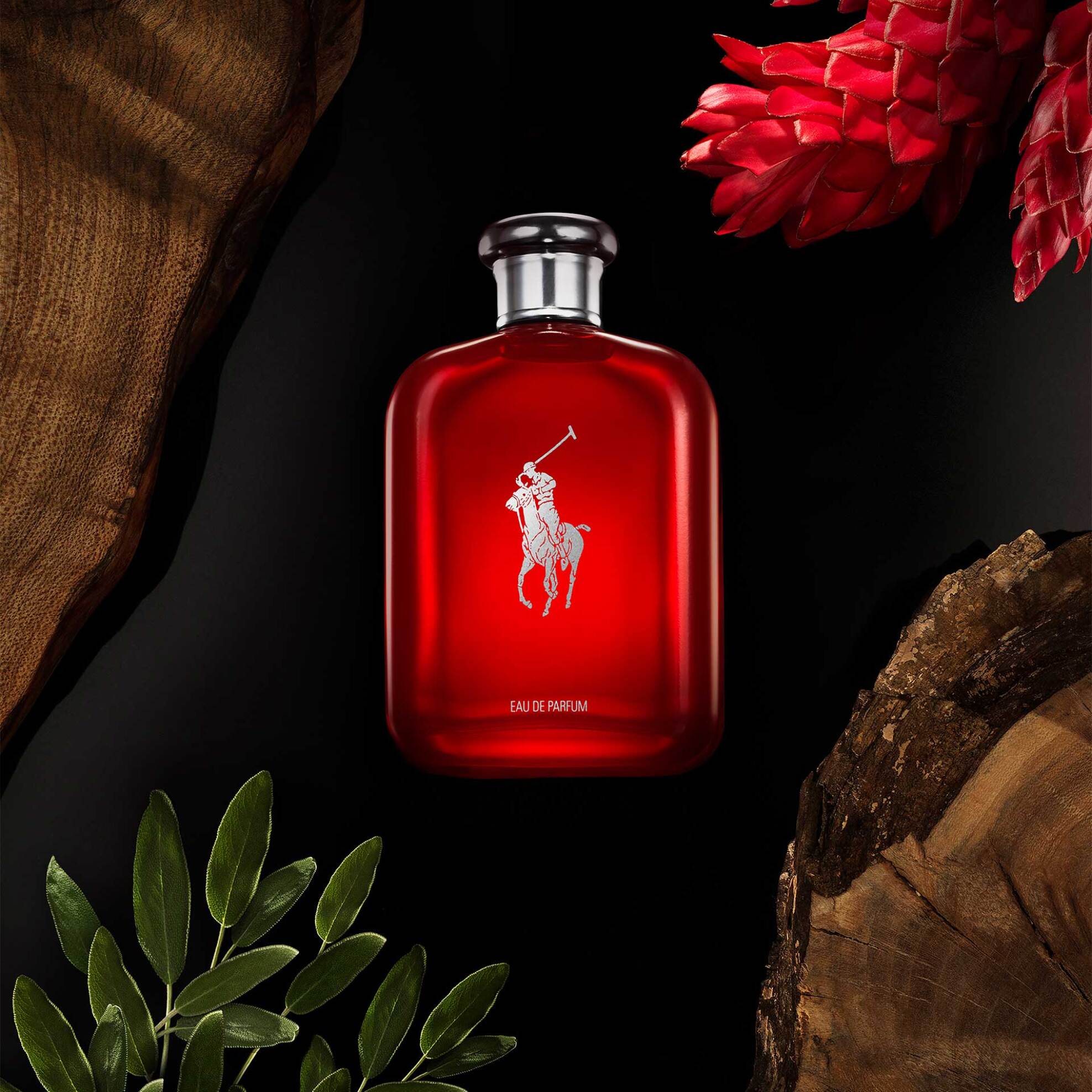 Ralph Lauren Polo Red Eau de Parfum - S3763400 φωτογραφία
