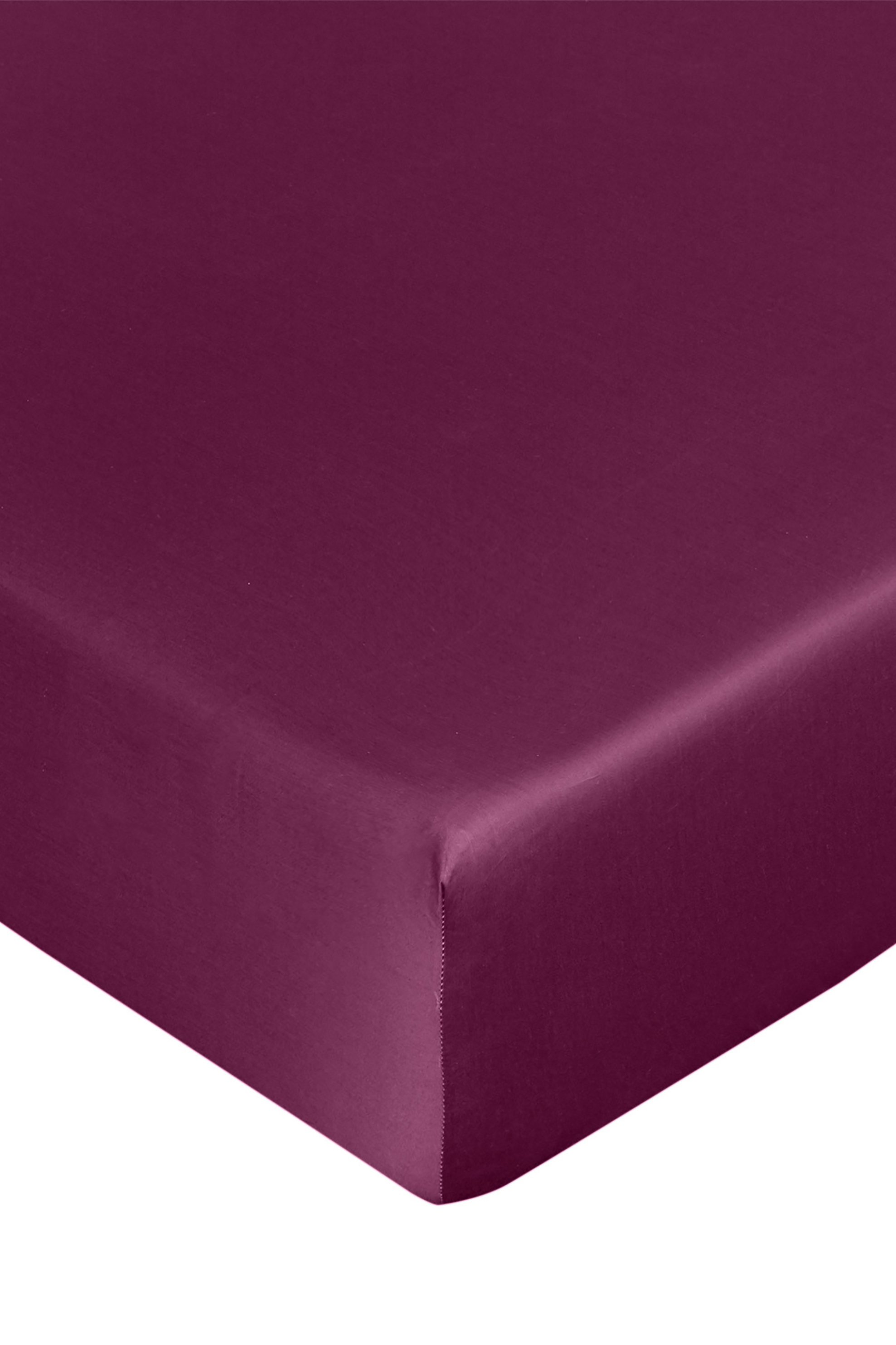 Coincasa κατωσέντονο με λάστιχο από βαμβακοσατέν "Zefiro" 180 x 210 cm - 006781919 Μοβ