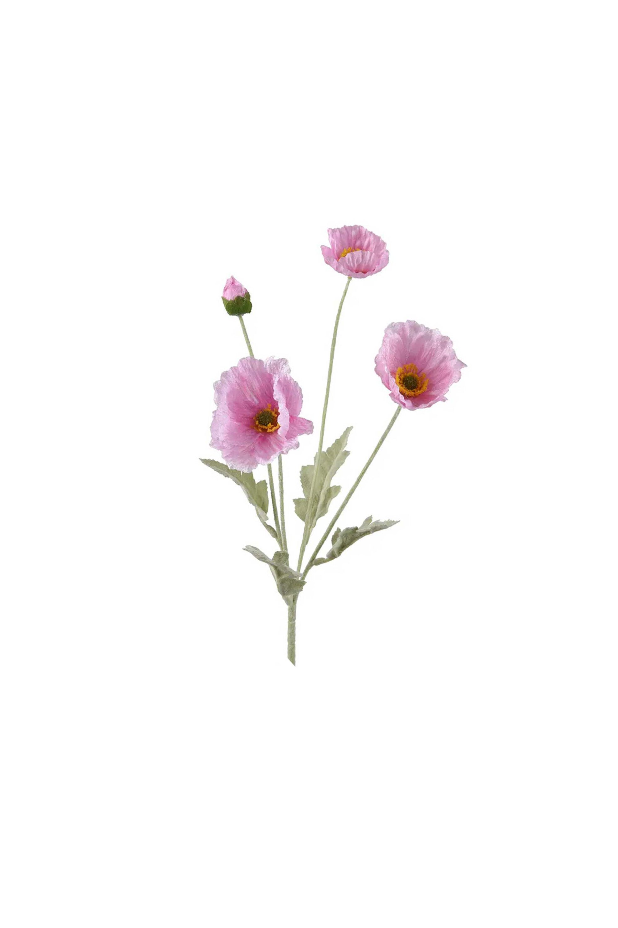KAEMINGK Kaemingk διακοσμητικό κλαδί παπαρούνα ροζ63 x 14 x 7 cm - 880394