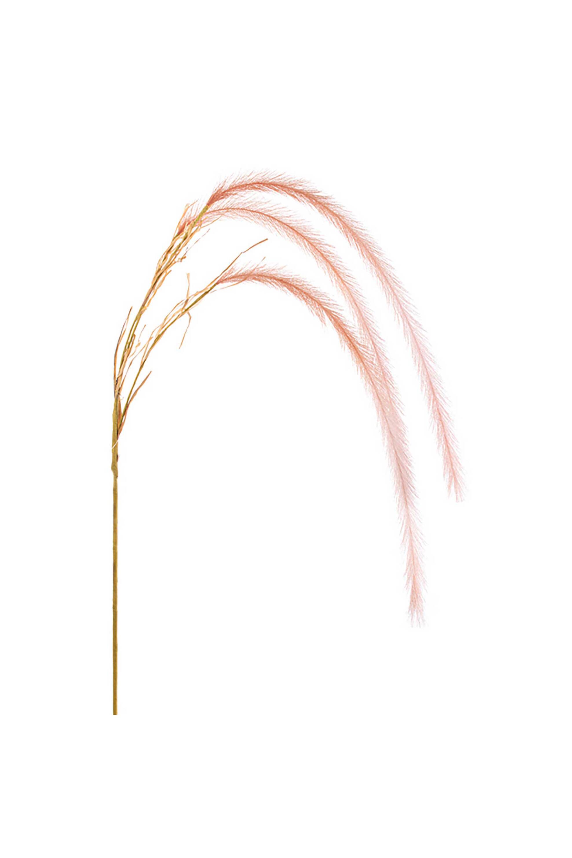 DOMUS HOMUS διακοσμητικό κλαδί κρεμαστό πανισέτο 138 cm - 20-99-582