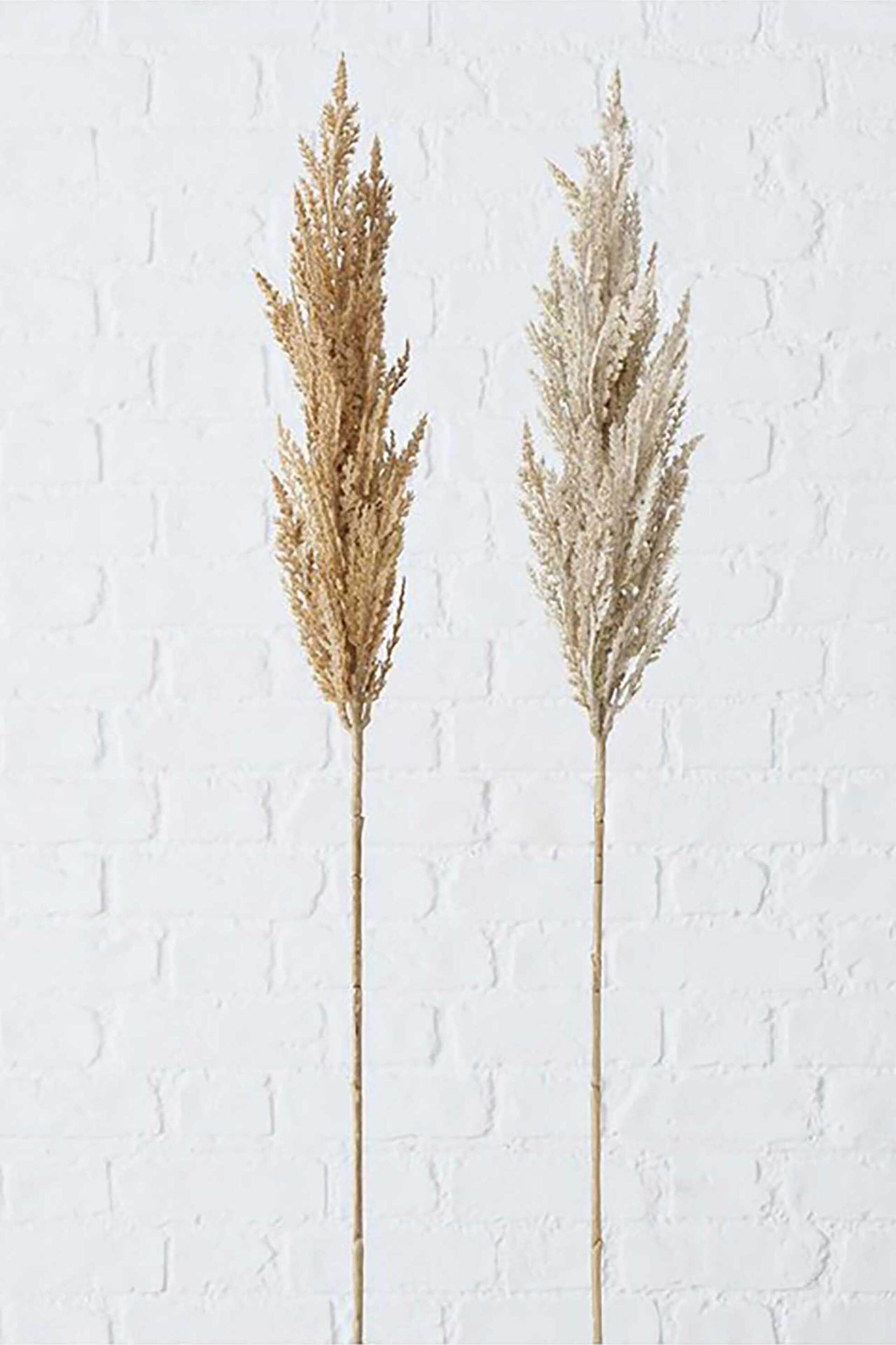 DOMUS HOMUS διακοσμητικό κλαδί πάμπας 95 cm (2 τεμάχια) - 20-99-728