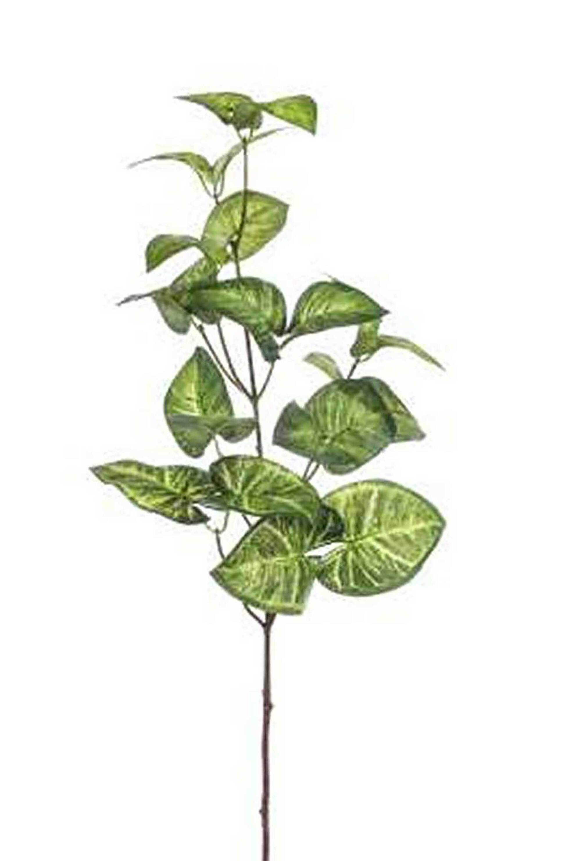 DOMUS HOMUS διακοσμητικό κλαδί καλάδιουμ 11φυλλο 70 cm - 20-99-037