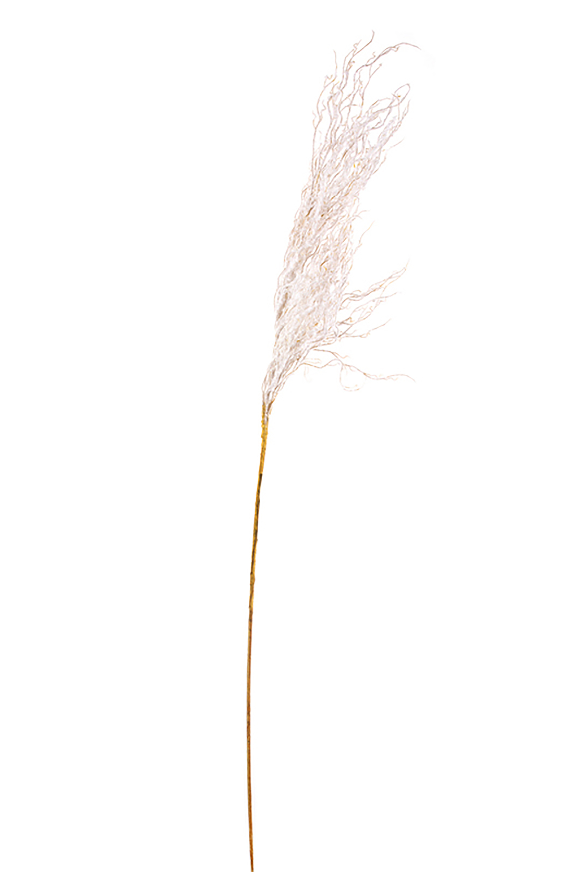 DOMUS HOMUS DOMUS HOMUS τεχνητό φυτό σαλικόρνια με κλαδί 125 cm - 20-99-587