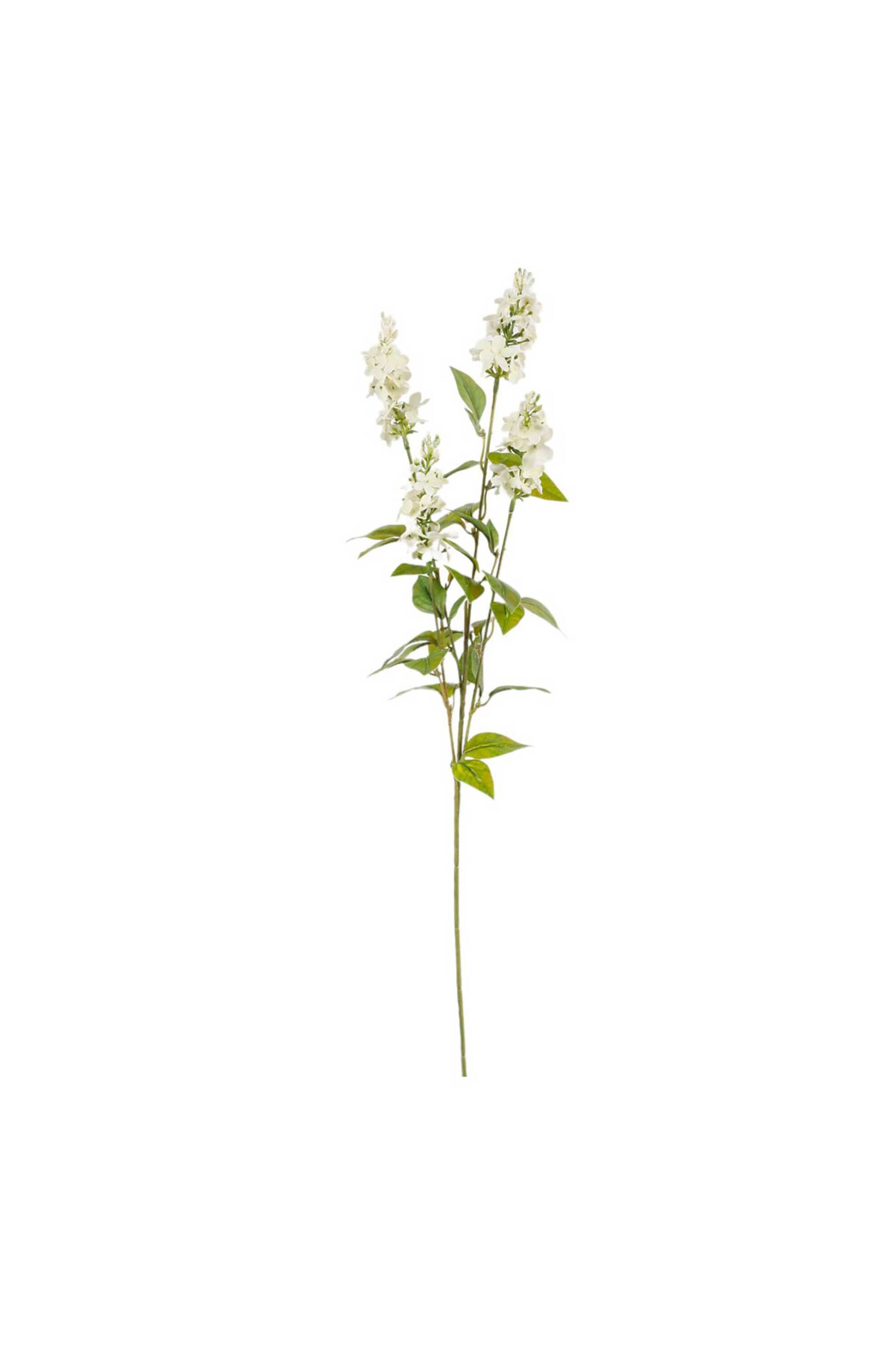 DOMUS HOMUS διακοσμητικό κλαδί πασχαλιάς 70 cm - 20-31-236