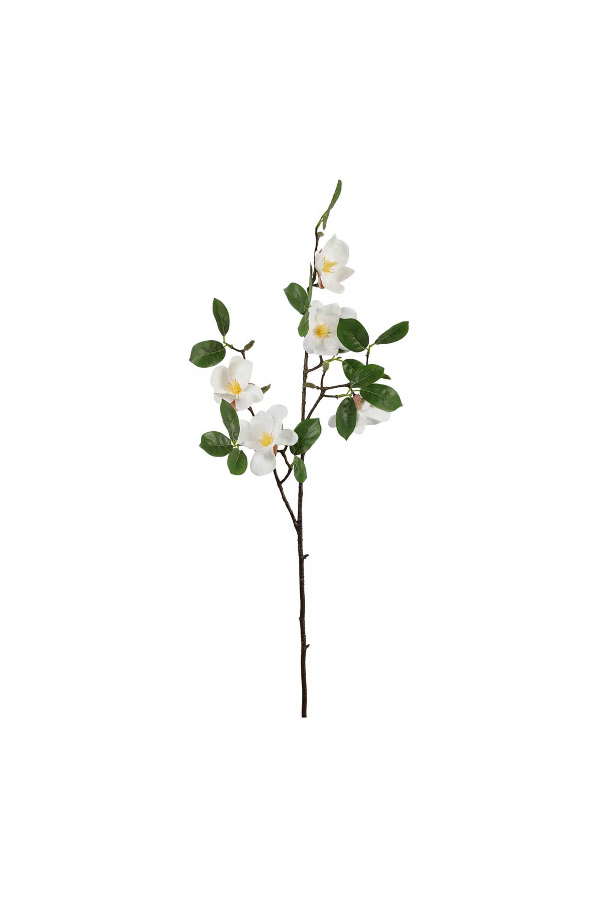 DOMUS HOMUS διακοσμητικό κλαδί μανόλιας 95 cm - 20-31-238