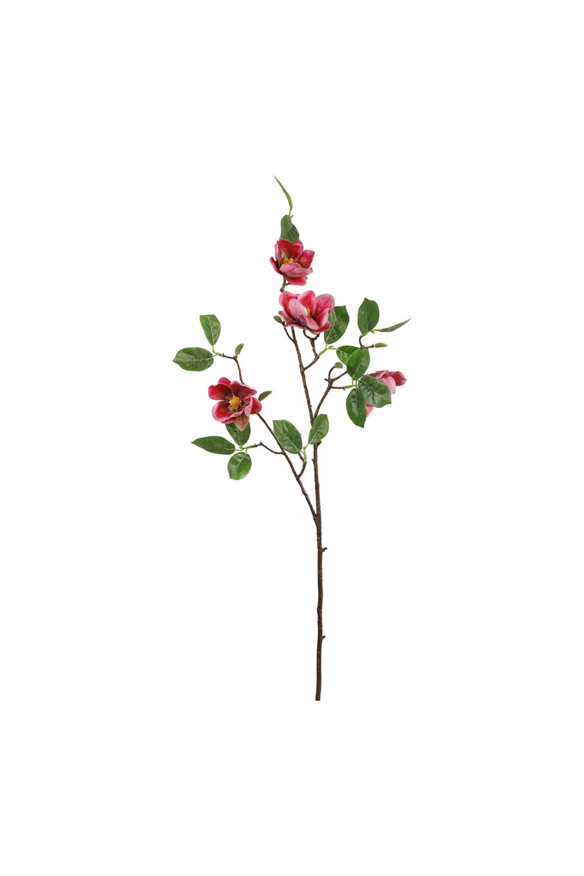 DOMUS HOMUS διακοσμητικό κλαδί μανόλιας 95 cm - 20-31-239
