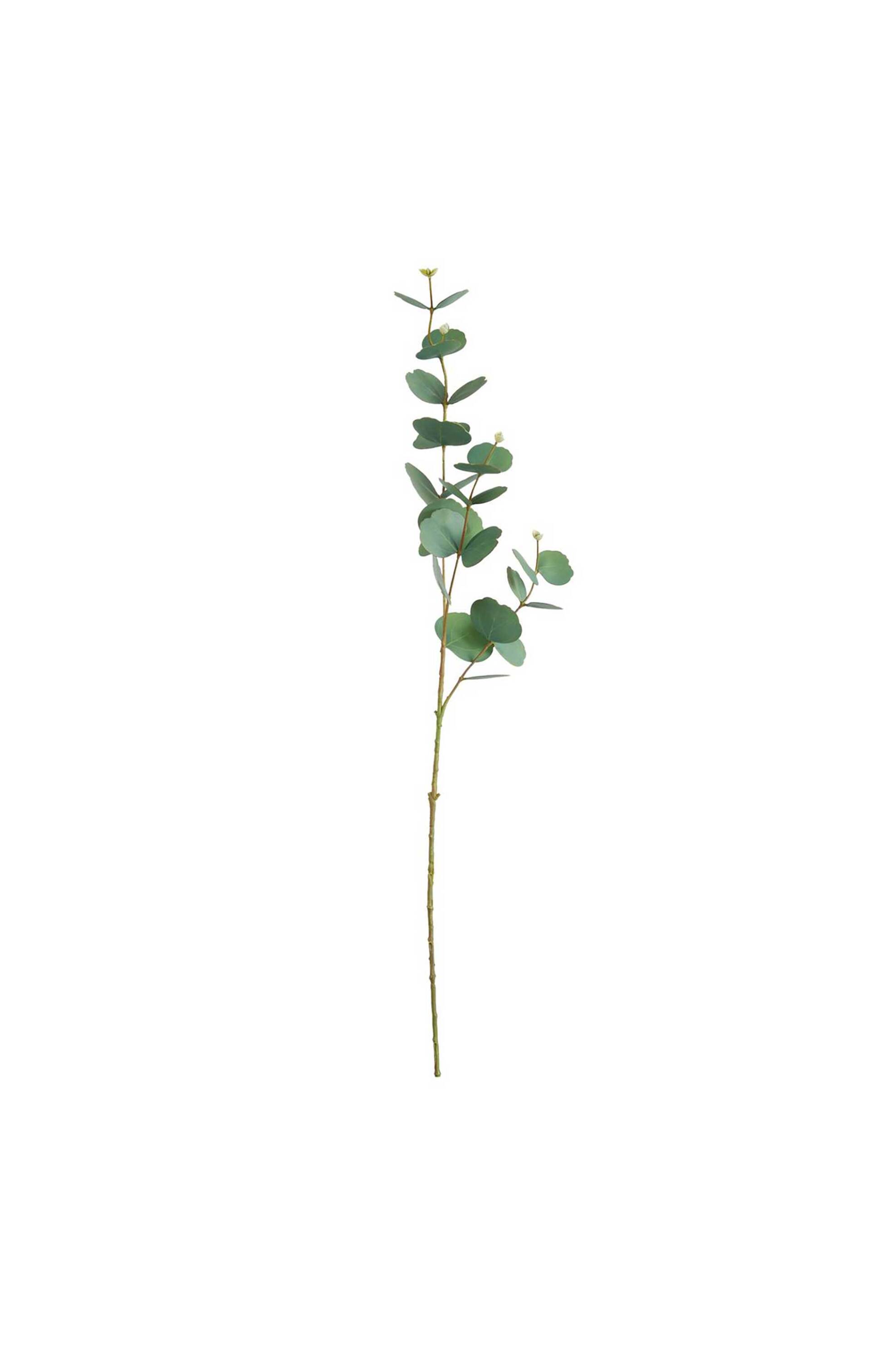 DOMUS HOMUS διακοσμητικό κλαδί ευκάλυπτος 88 cm - 20-31-240