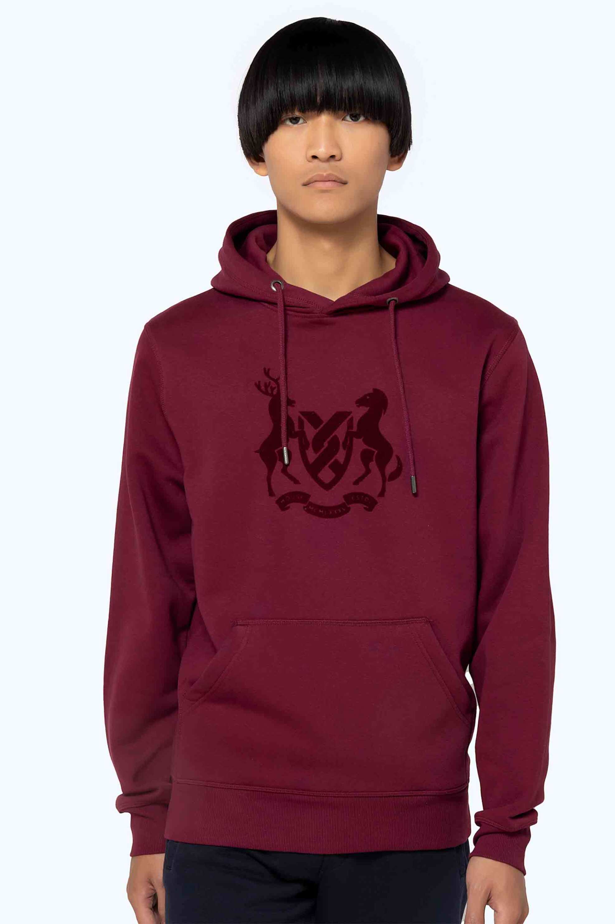 THE BOSTONIANS The Bostonians ανδρική μπλούζα φούτερ με κουκούλα και logo graphic print Regular Fit - RO1001 Μπορντό