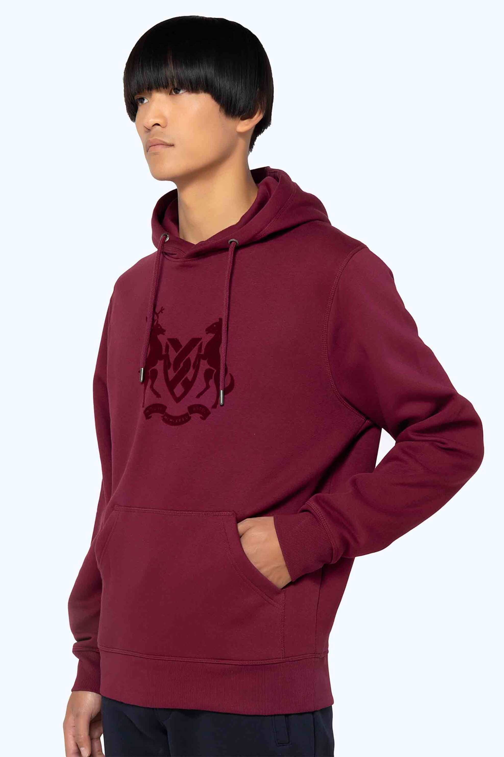 The Bostonians ανδρική μπλούζα φούτερ με κουκούλα και logo graphic print Regular Fit - RO1001 Μπορντό φωτογραφία