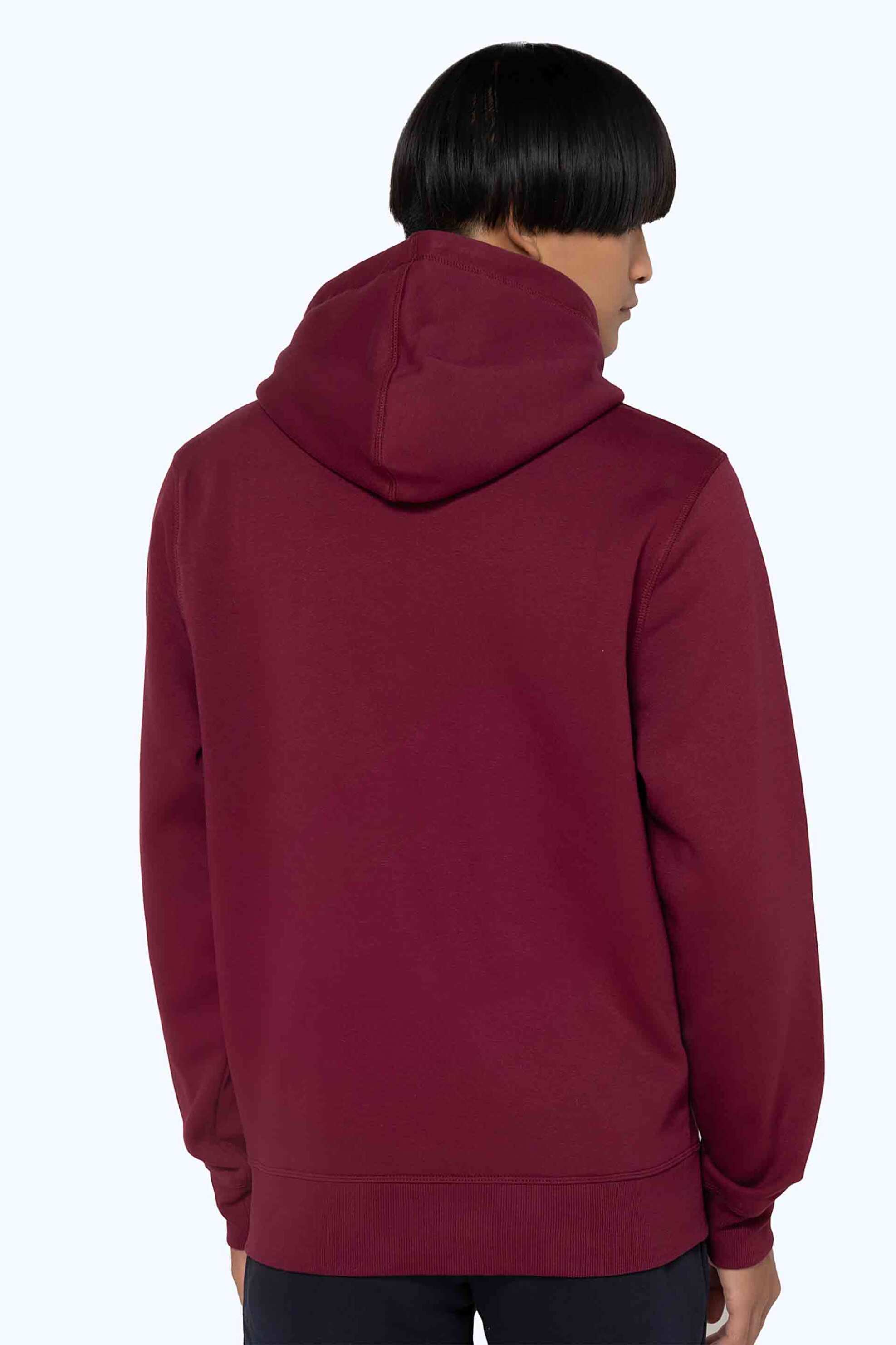 The Bostonians ανδρική μπλούζα φούτερ με κουκούλα και logo graphic print Regular Fit - RO1001 Μπορντό φωτογραφία