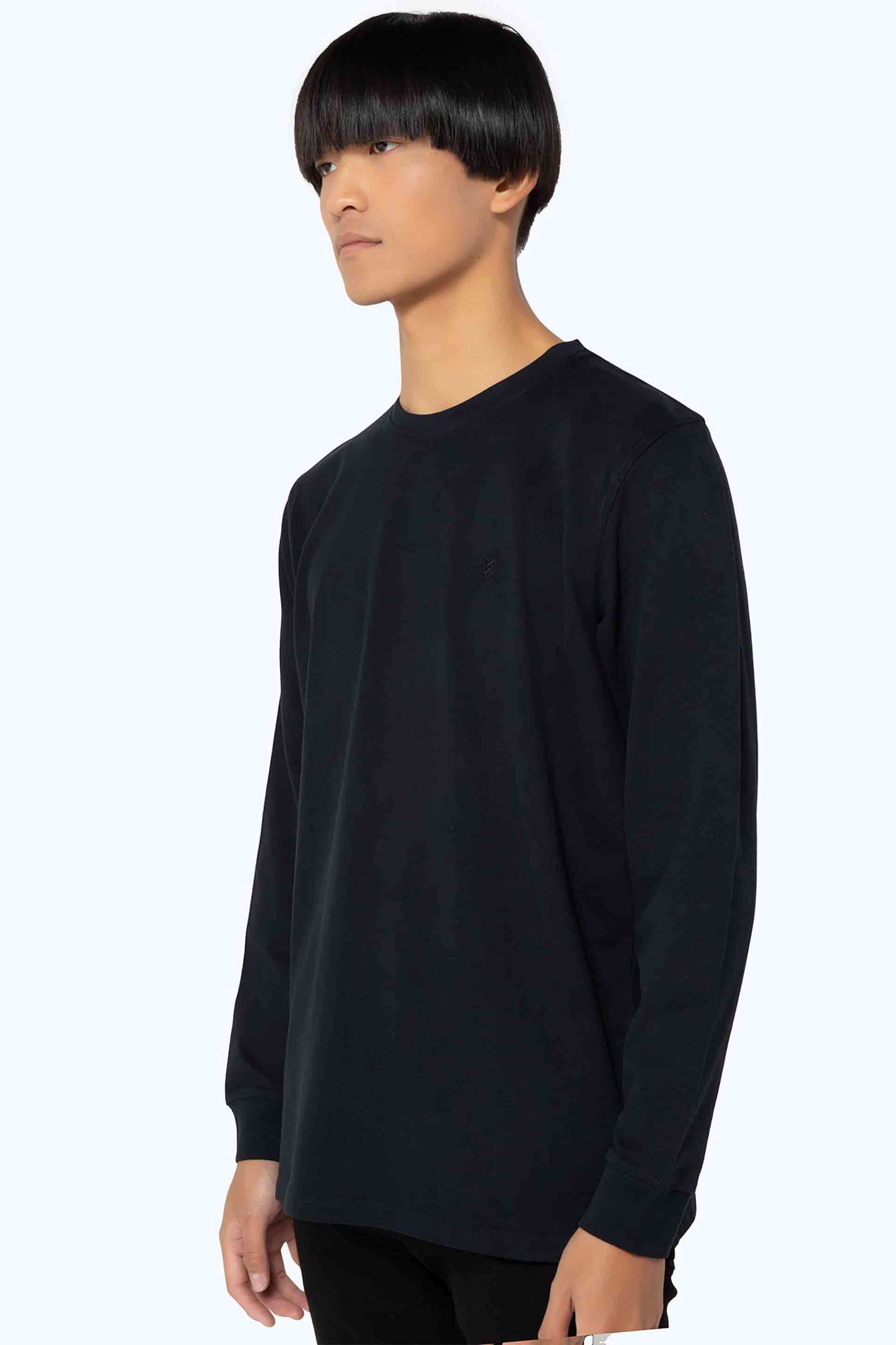 The Bostonians ανδρική μακρυμάνικη μπλούζα μονόχρωμη με κεντημένο λογότυπο Regular Fit - TL0011 Μαύρο φωτογραφία