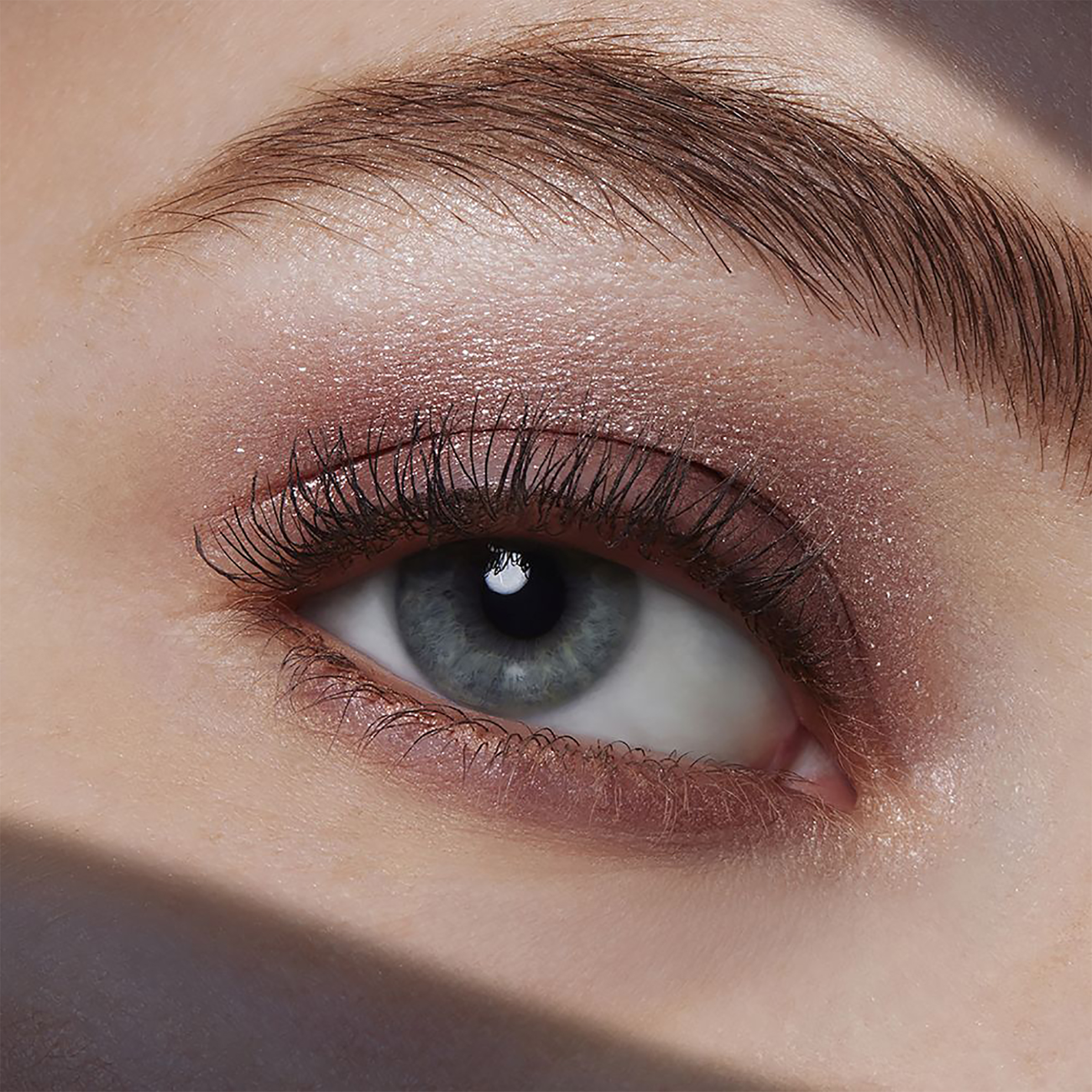 Estée Lauder Pure Color Envy Eyeshadow Quad - PHHT030000 03 Aubergine Dream φωτογραφία