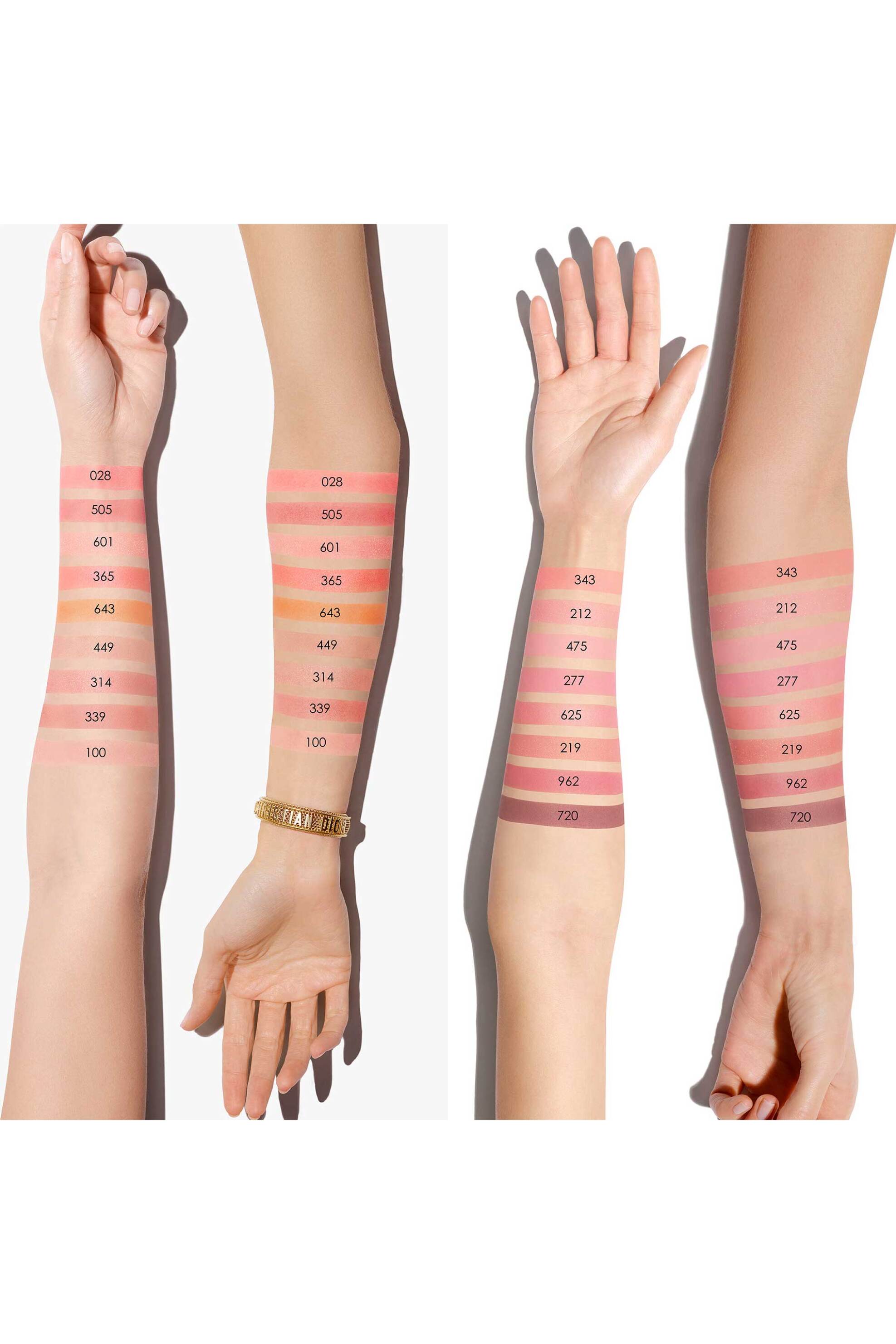Dior Rouge Blush Cheek And Cheekbone - Long Wear C029700601 601 Hologlam