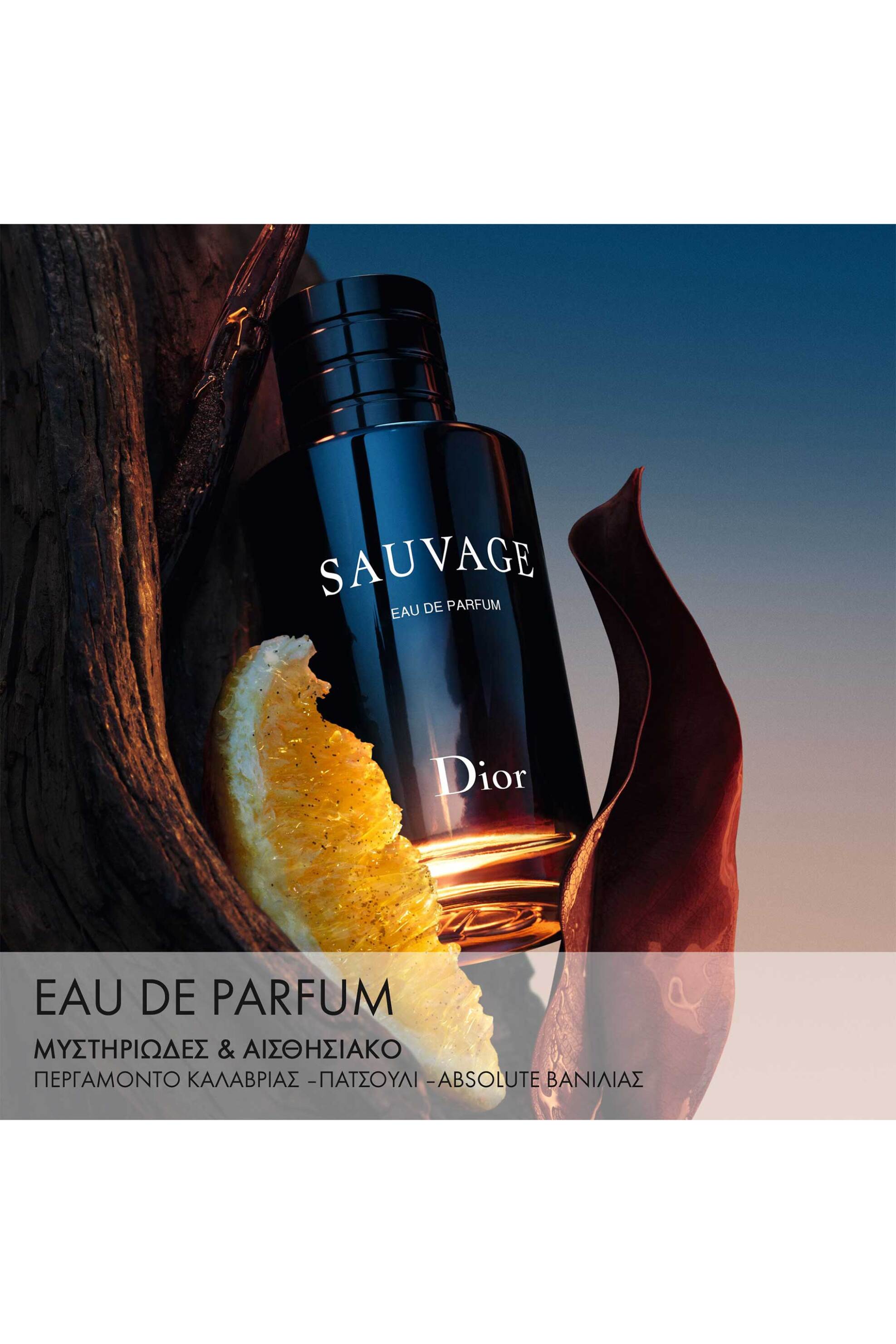 Dior Sauvage Eau de Parfum - Citrus and Vanilla Notes - Refillable Bottle - C099700027 φωτογραφία