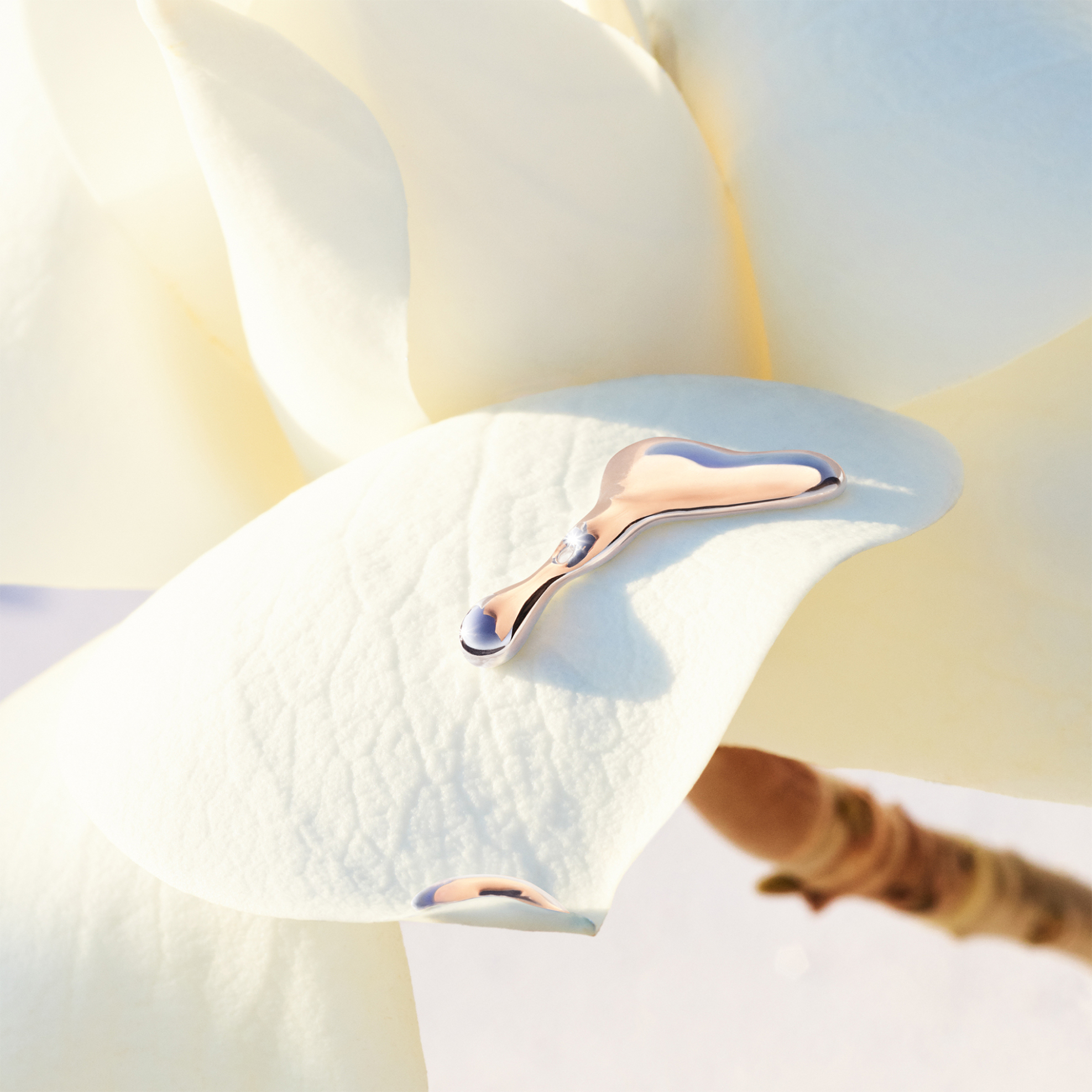 Boss Alive Eau de Toilette - 8571041867 φωτογραφία