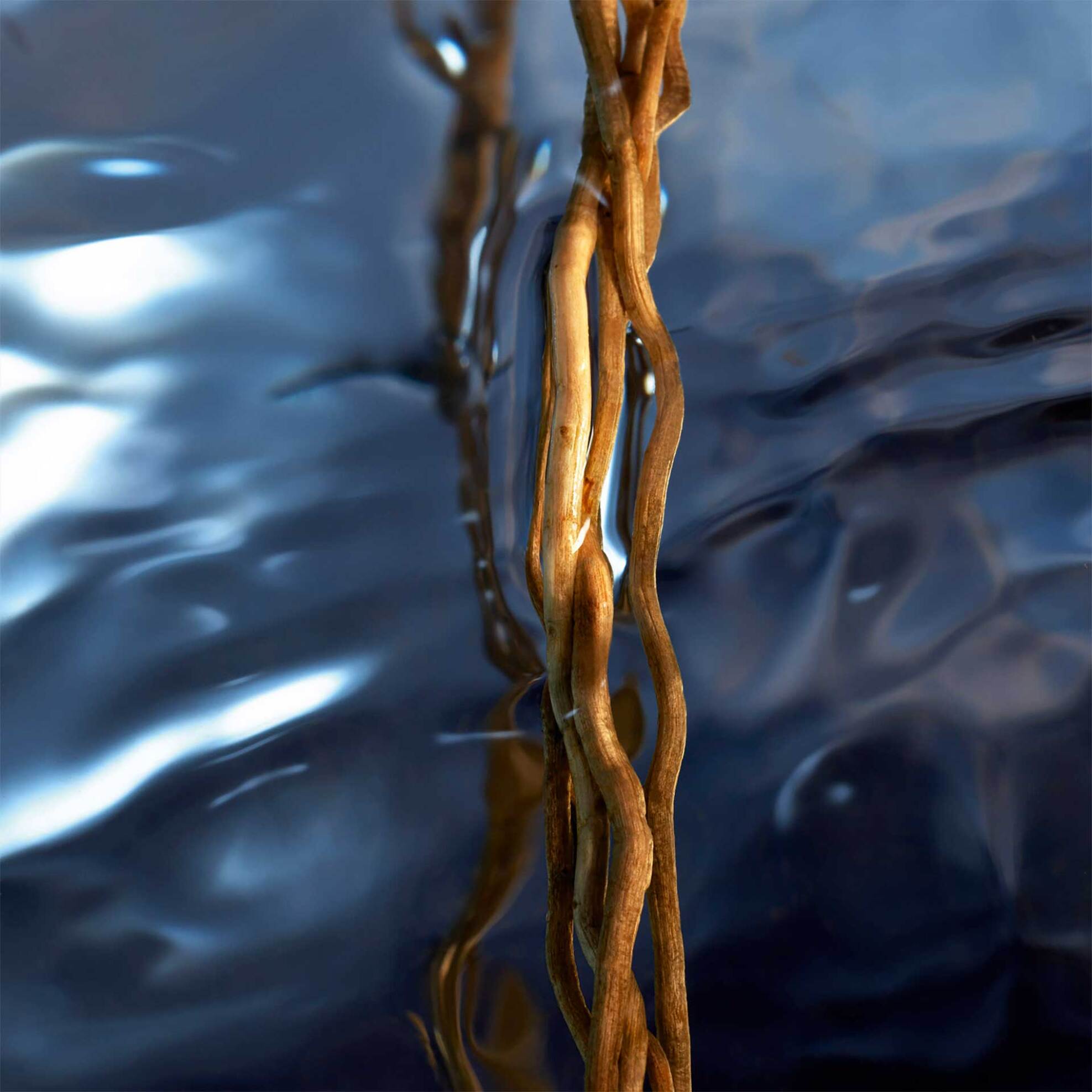 Davidoff Cool Water Reborn For Him Eau de Toilette - 8571047776 φωτογραφία