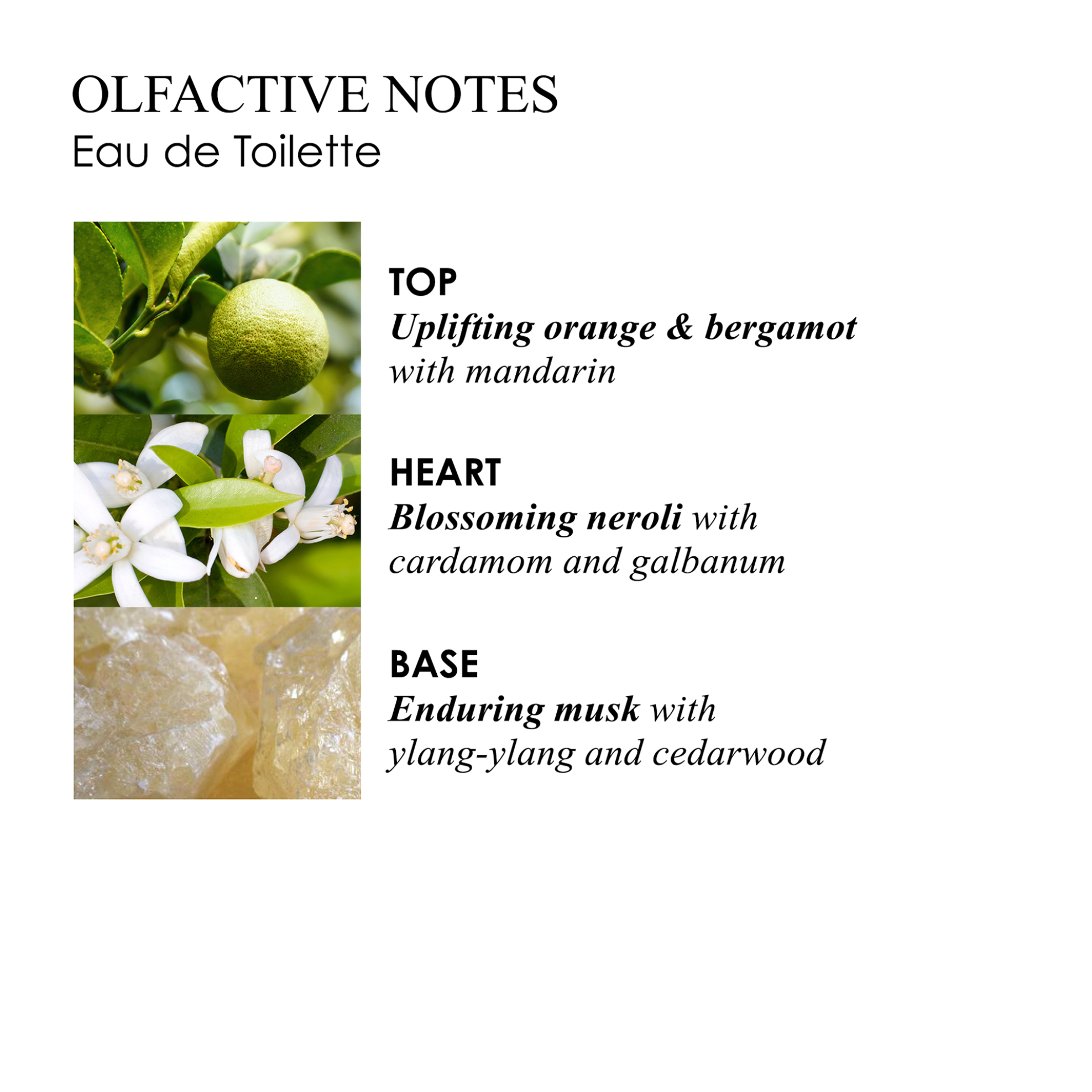 Molton Brown Orange & Bergamot Eau de Toilette - 511134 φωτογραφία