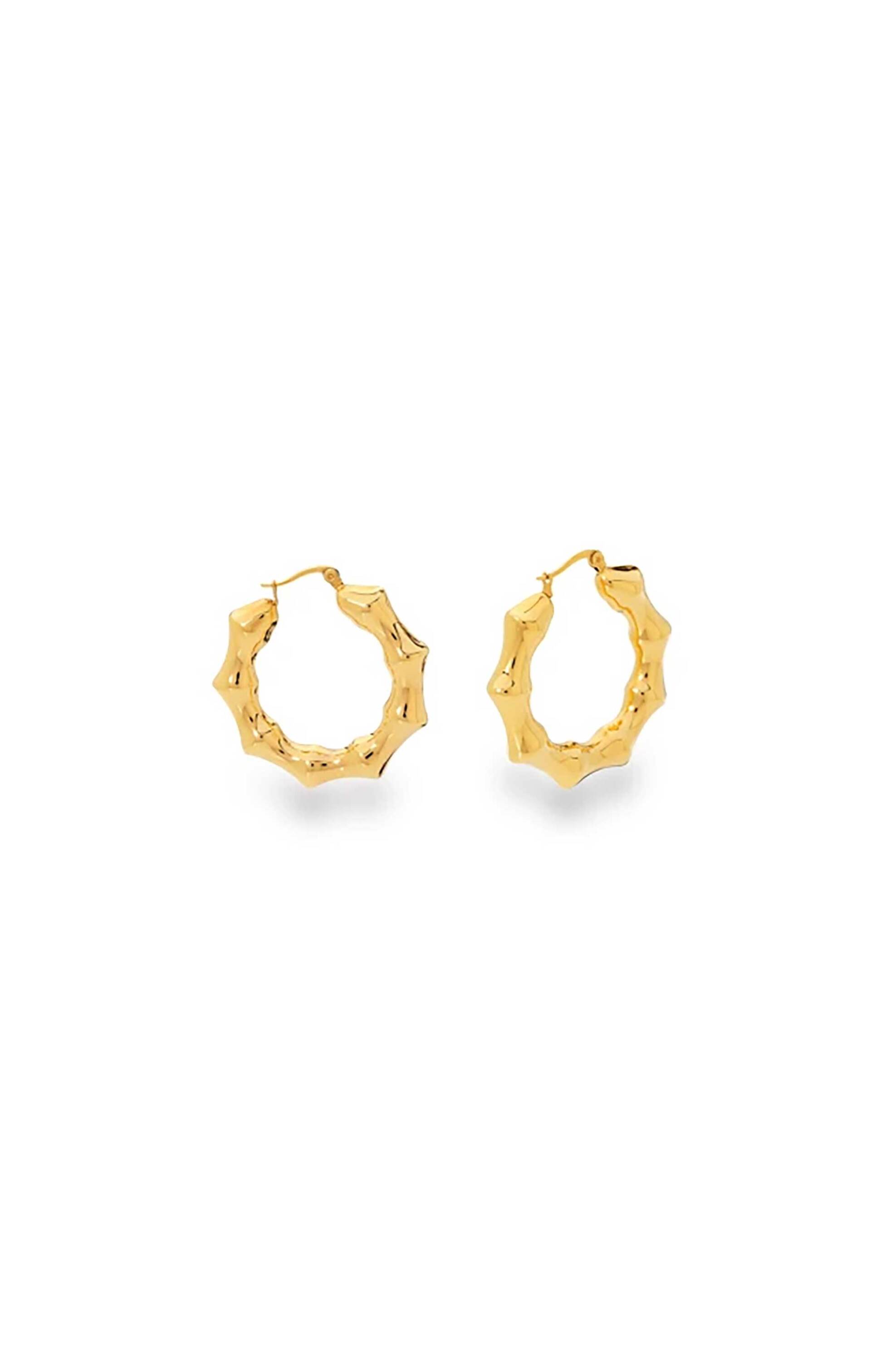 Folli Follie γυναικεία επίχρυσα σκουλαρίκια κρίκοι με σχέδιο bamboo "Hoops!" - 1E24T119Y Χρυσό