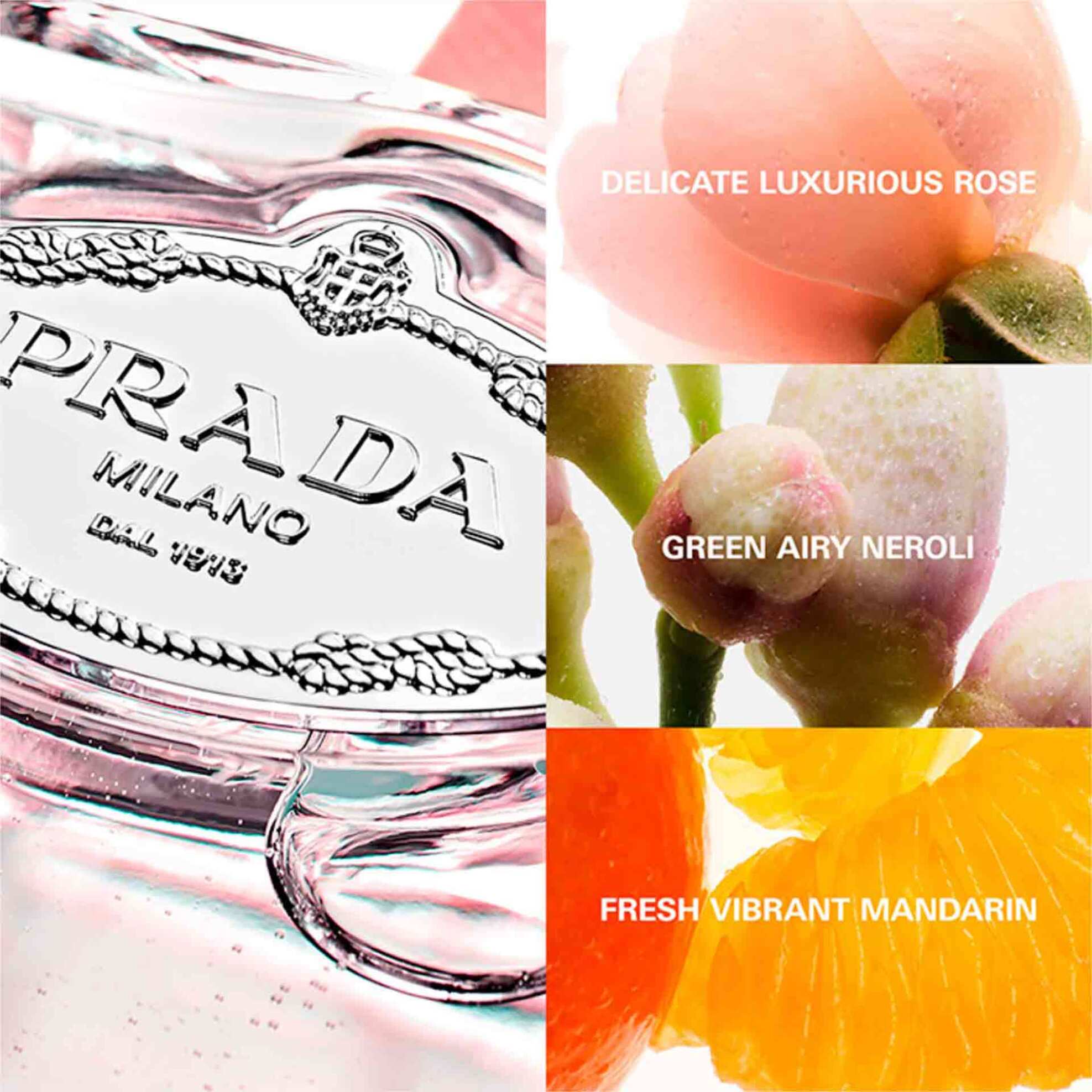 Prada Infusion de Rose Eau de Parfum 100 ml - 8435137754601 φωτογραφία