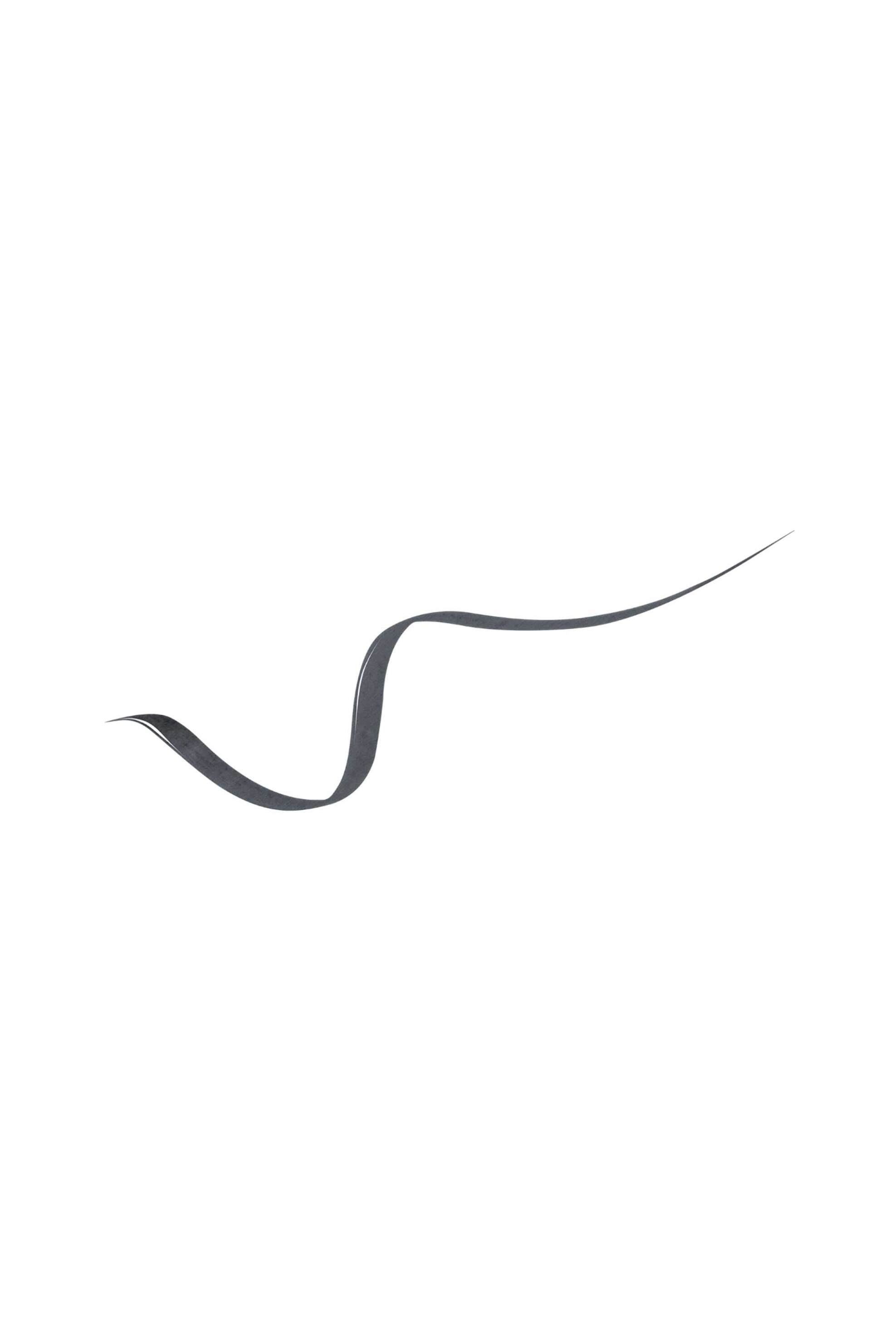 Lancôme Liner Idole 05 Shadow Grey φωτογραφία