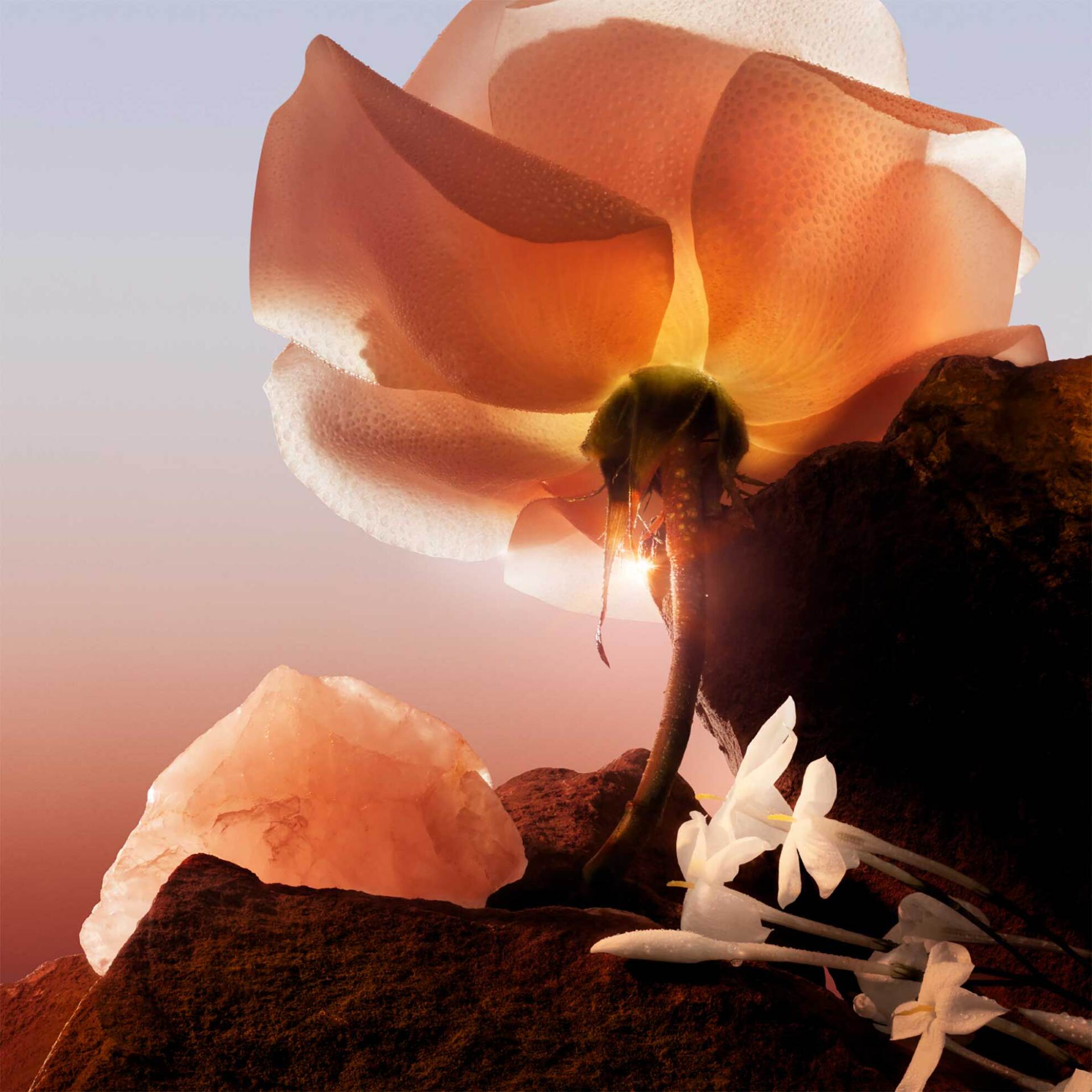 Lancôme Idôle Now Eau de Parfum - 3614273927338 φωτογραφία