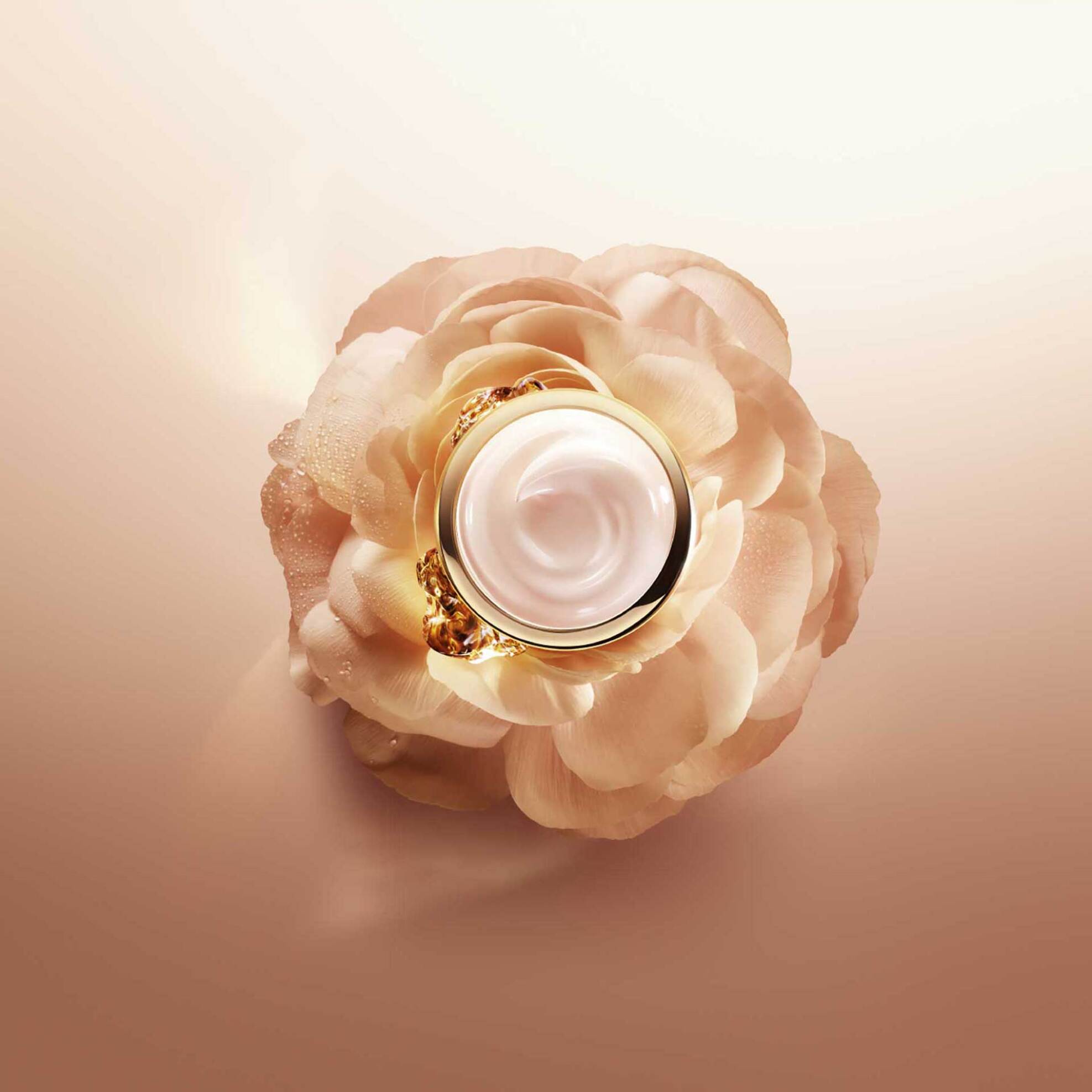 Lancôme Absolue The Light Cream 60 ml - 3614273454971 φωτογραφία