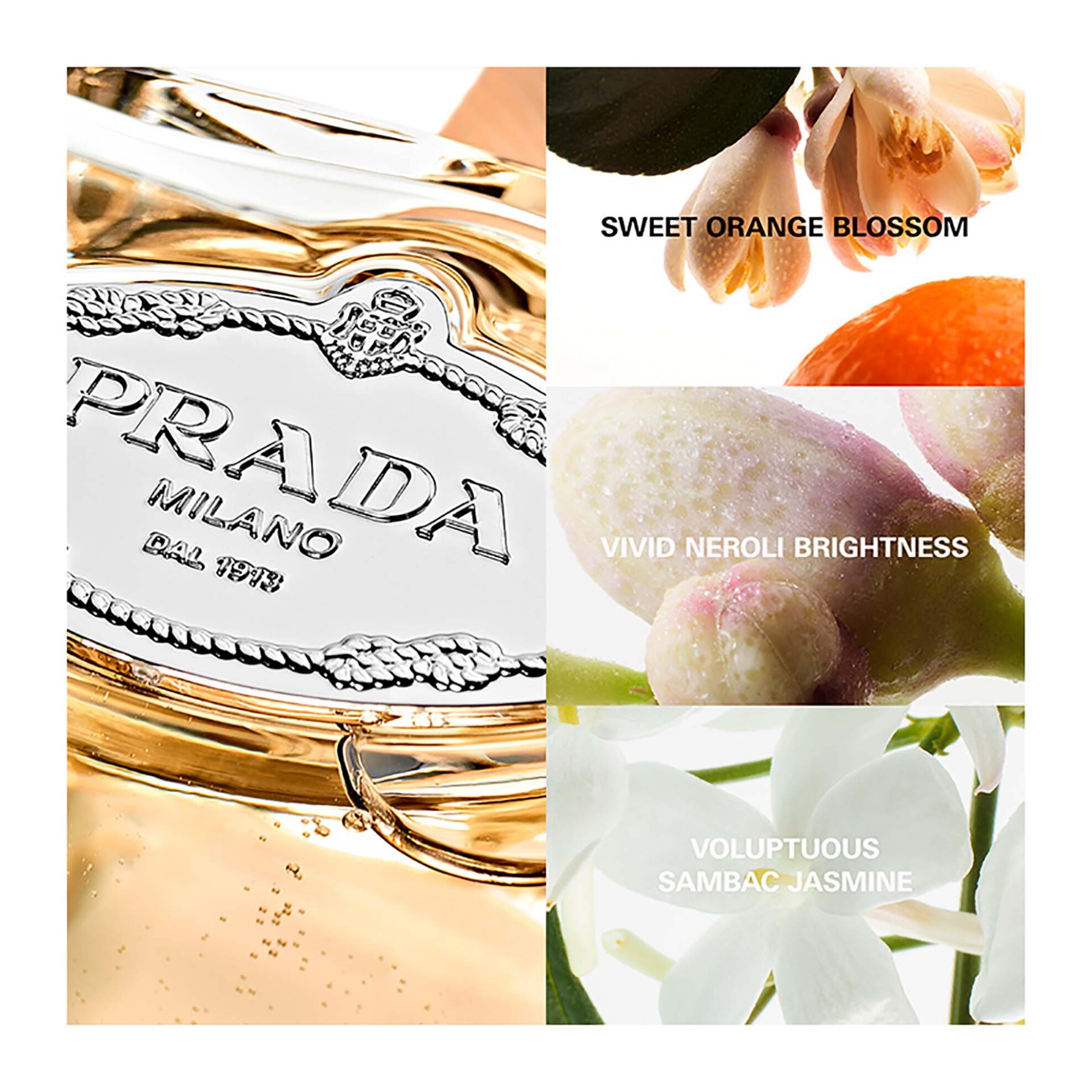 Prada Infusion de Fleur d'Oranger Eau de Parfum 100 ml - 8435137742226 φωτογραφία