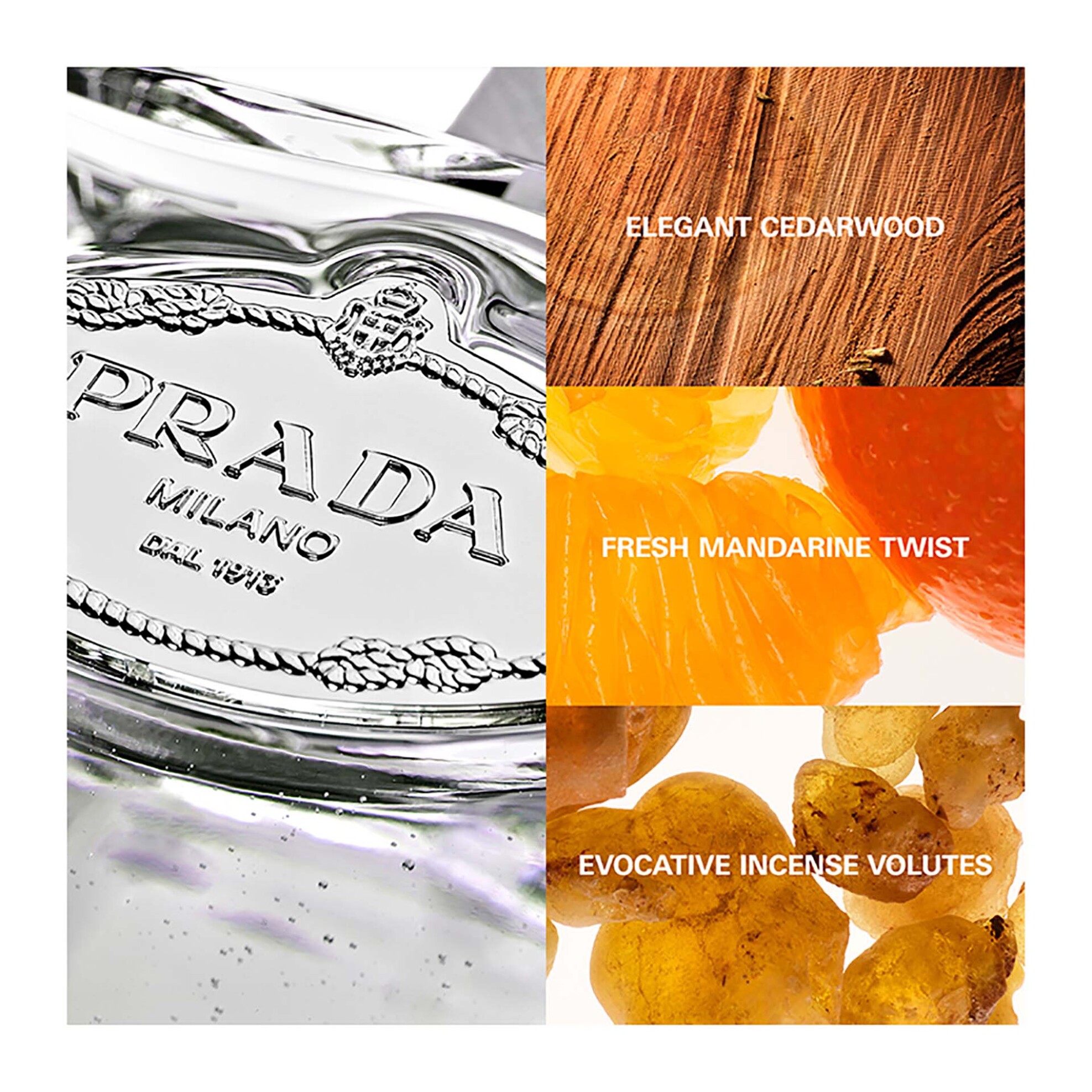 Prada Infusion de Cèdre Eau De Parfum 100 ml - 8435137743223 φωτογραφία