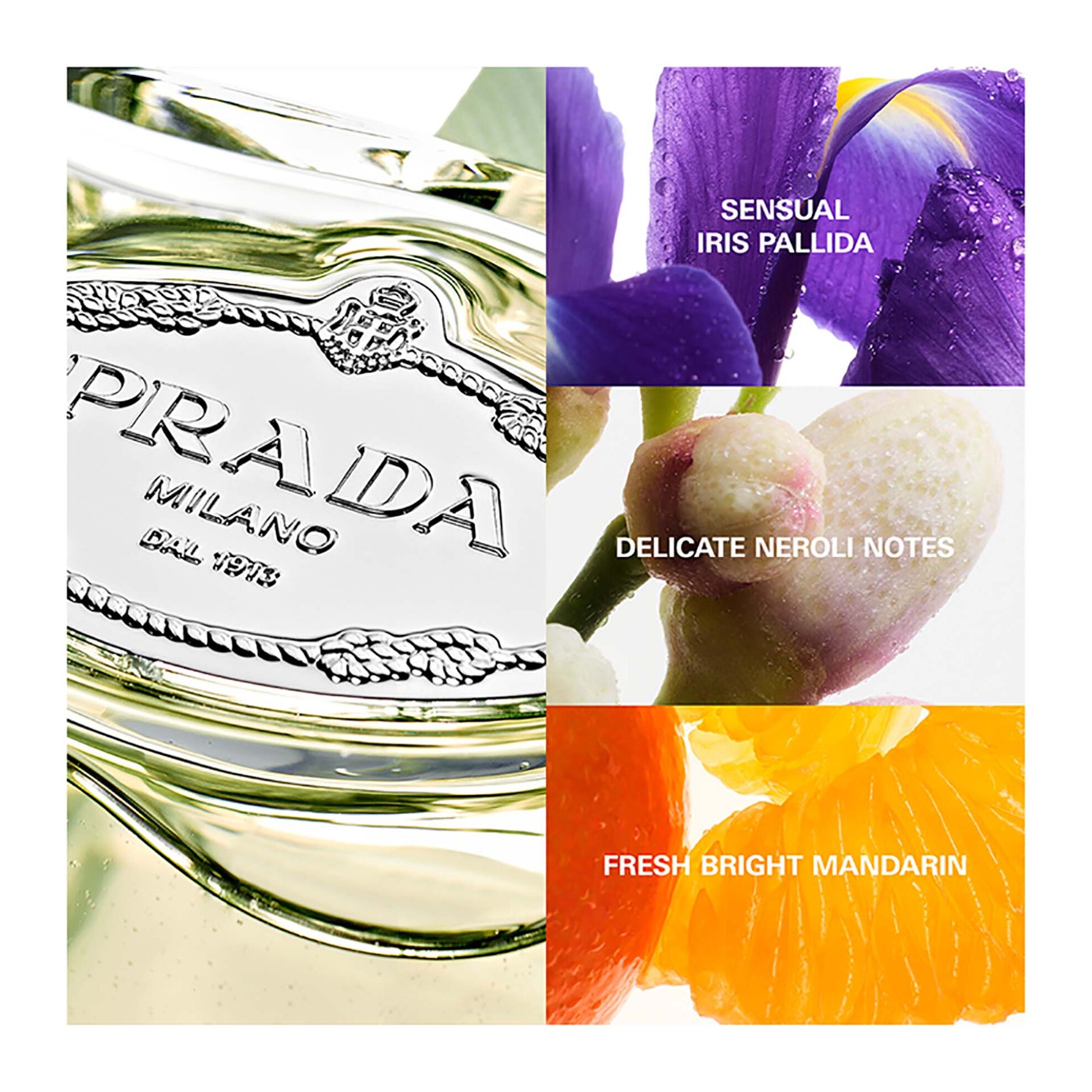 Prada Infusion d’Iris Eau de Parfum - 8435137743155 φωτογραφία