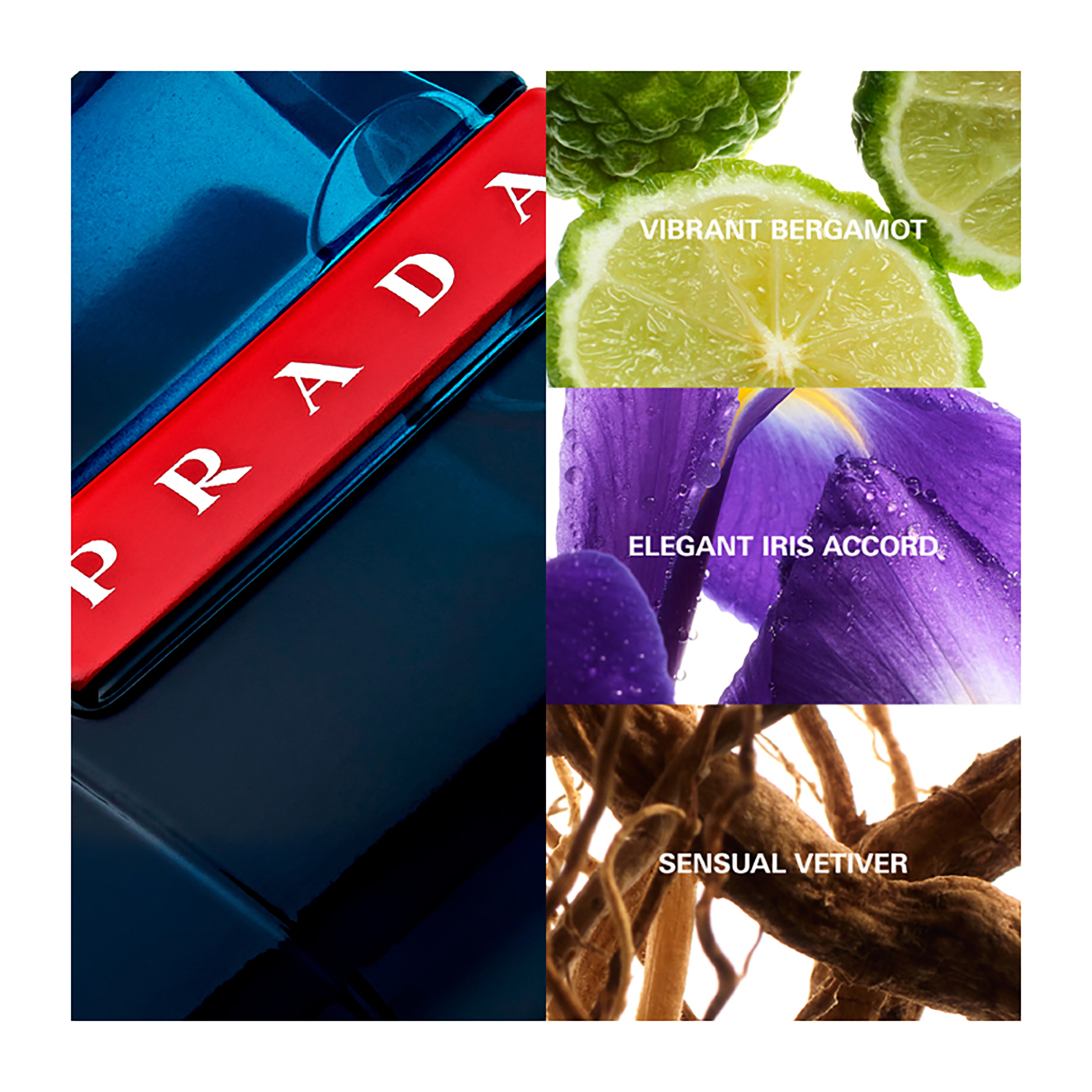 Prada Luna Rossa Ocean Eau de Toilette - 3614273556187 φωτογραφία